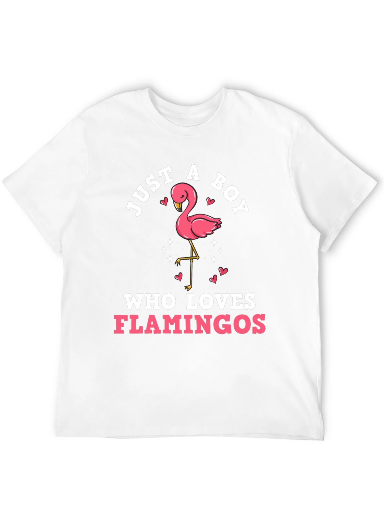 Boys Flamingo Lover Graphic Tee