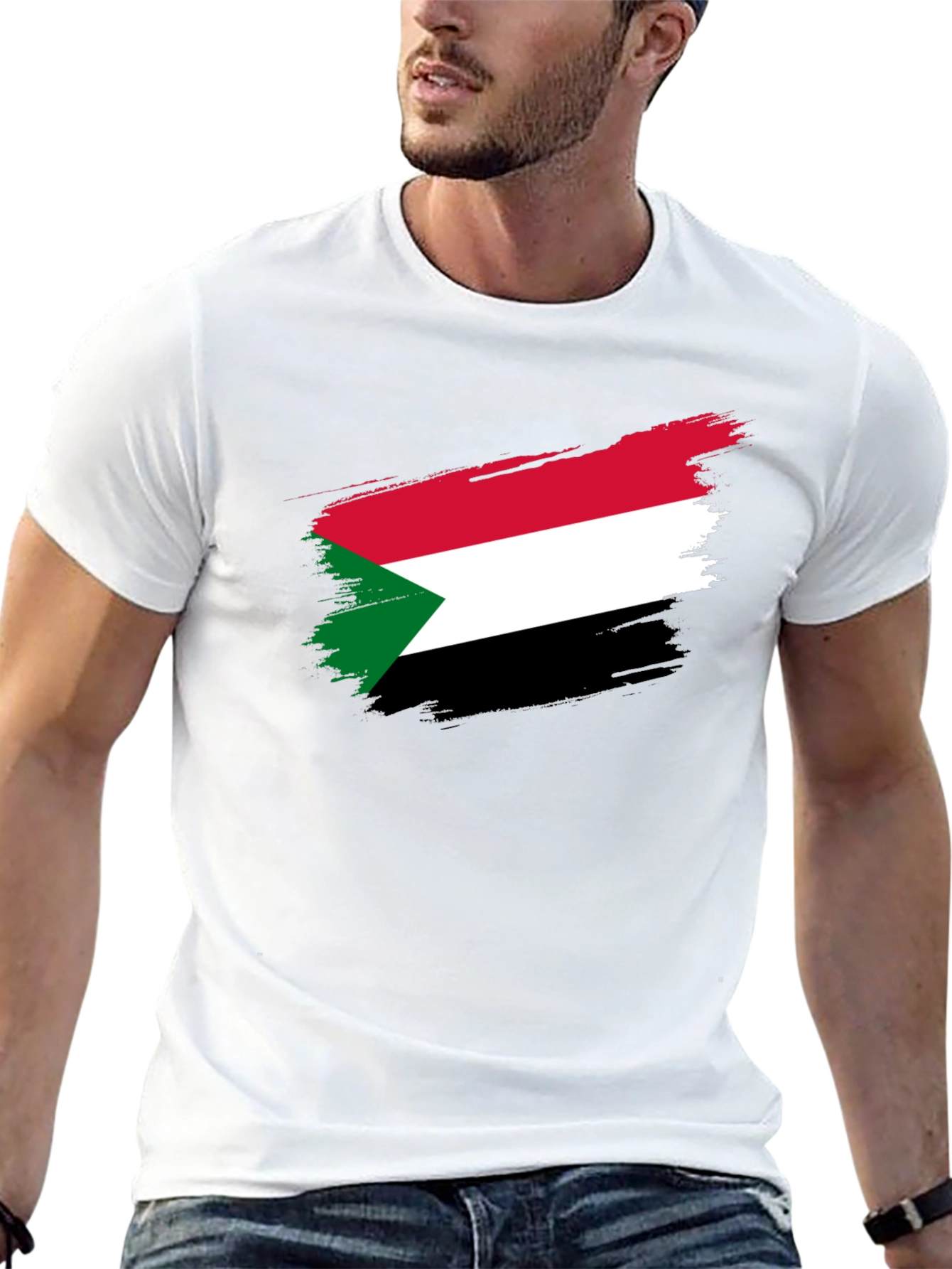 Sudan Flag Brush Stroke T-Shirt - Black