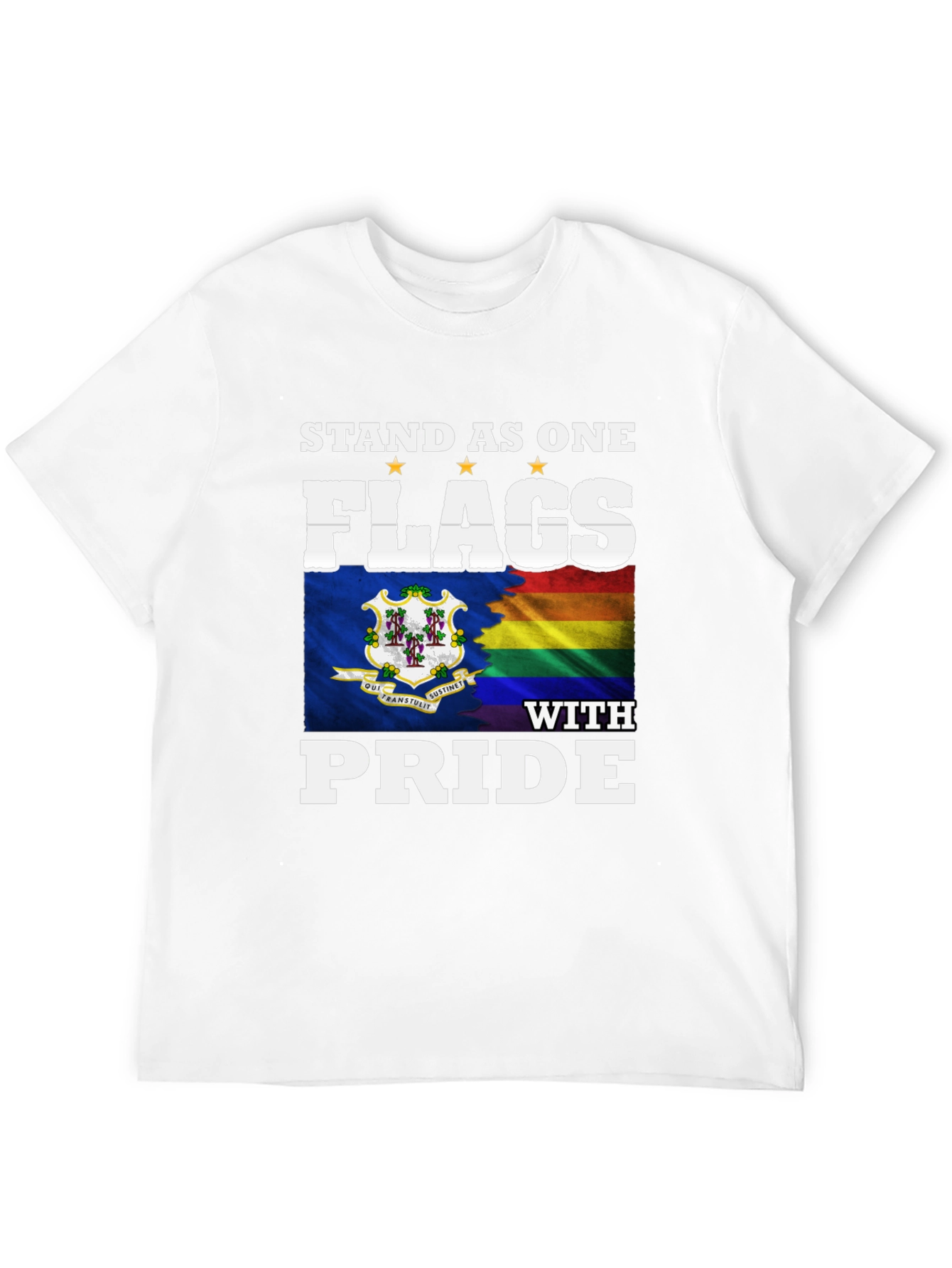 Stand as One Flags with Pride T-Shirt