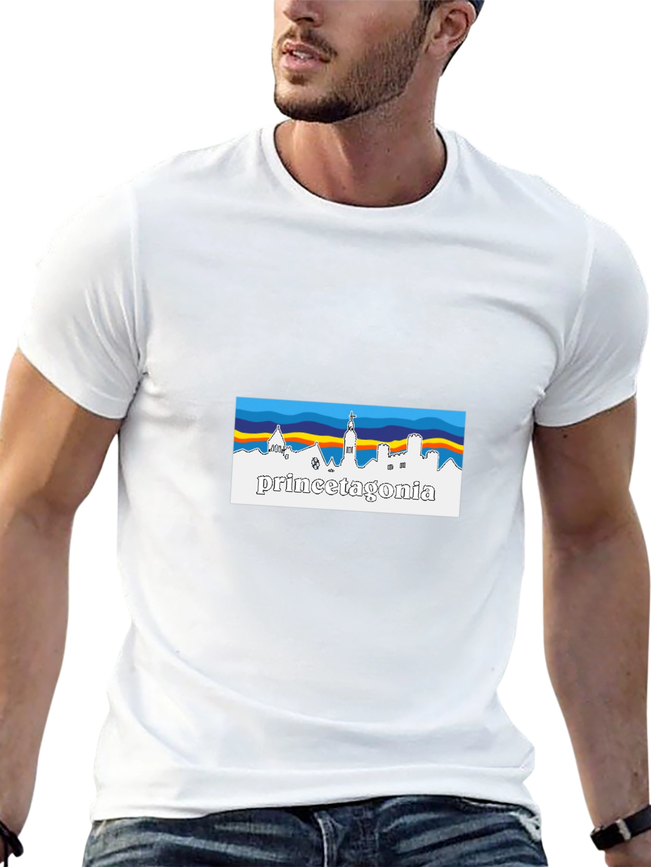 Princetagonia Skyline T-Shirt