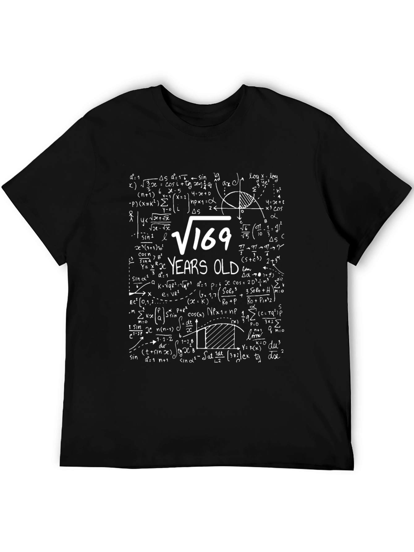 Math Formula 169 Years Old T-Shirt