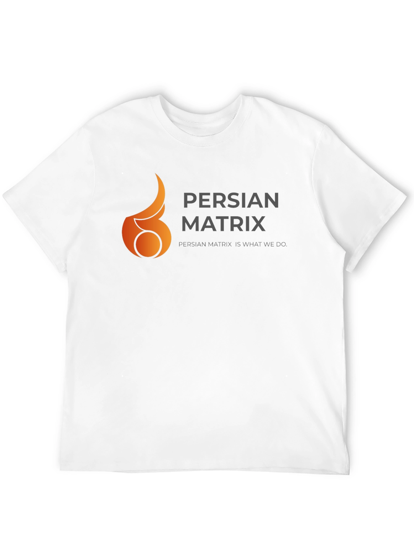 Persian Matrix Black Graphic Tee