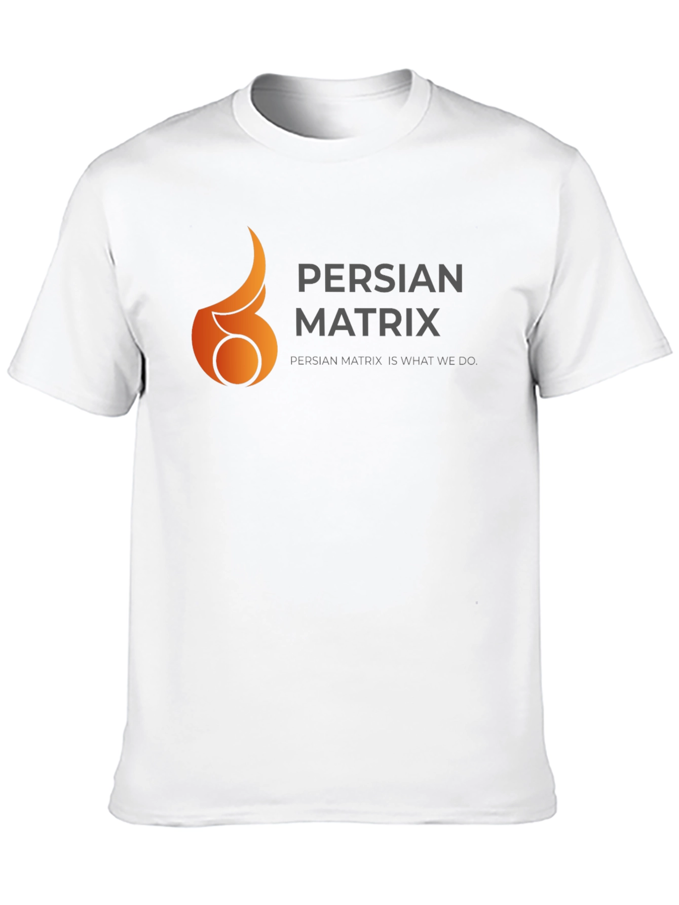 Persian Matrix Black Graphic Tee