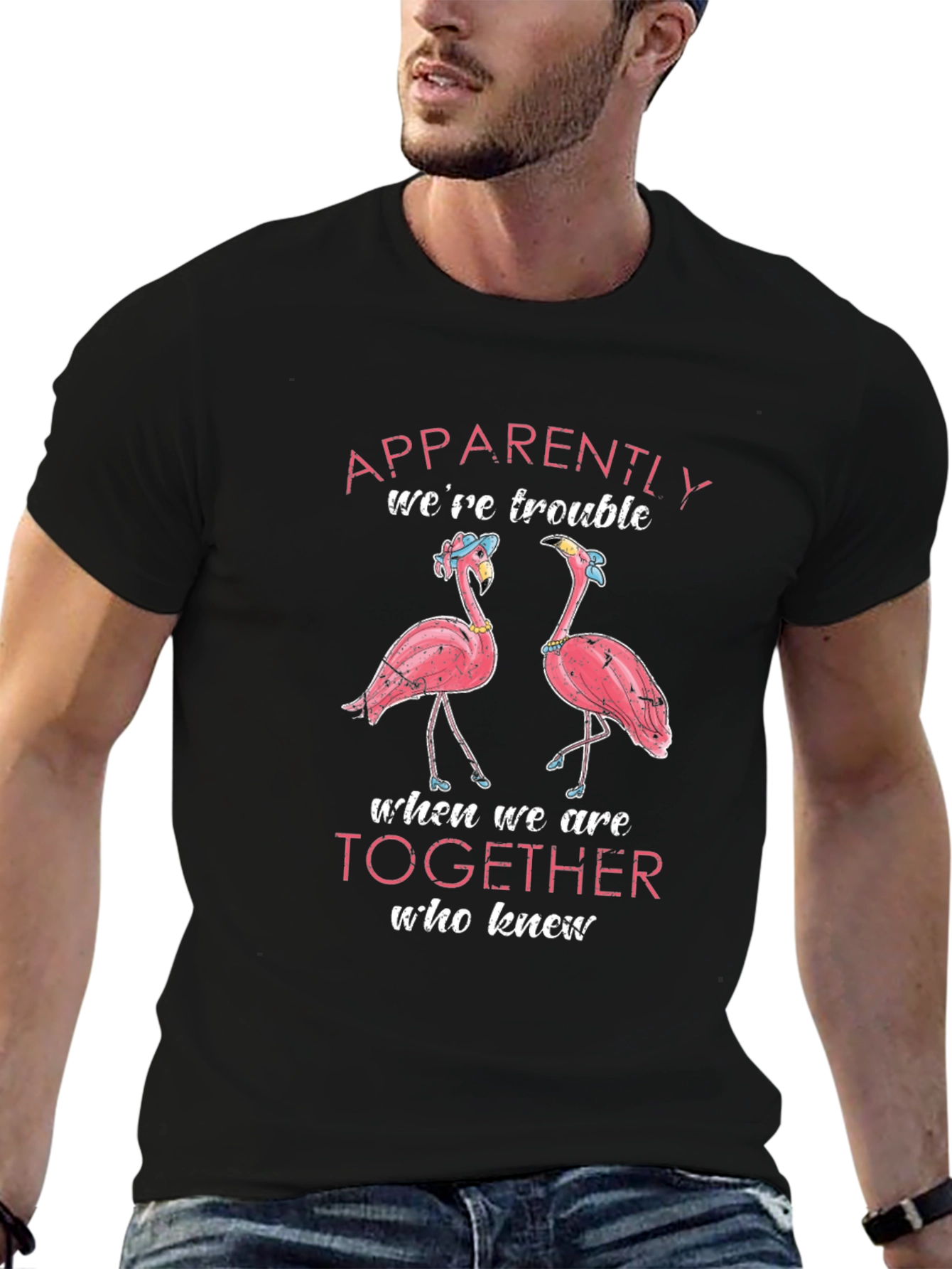 Flamingo Trouble Together Graphic T-Shirt
