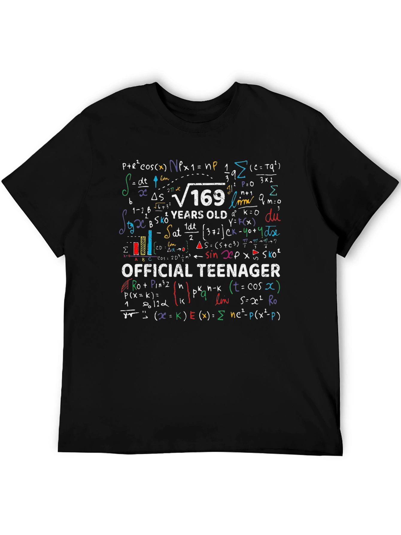 Math Formula 13th Birthday T-Shirt - Official Teenager