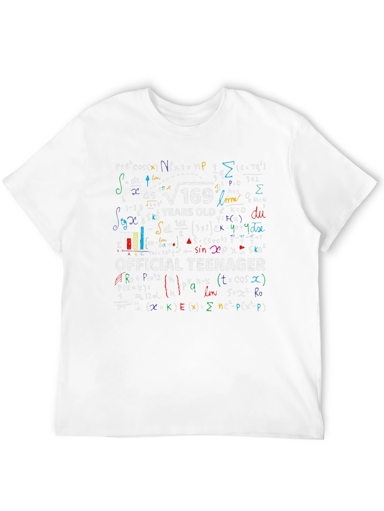 Math Formula 13th Birthday T-Shirt - Official Teenager