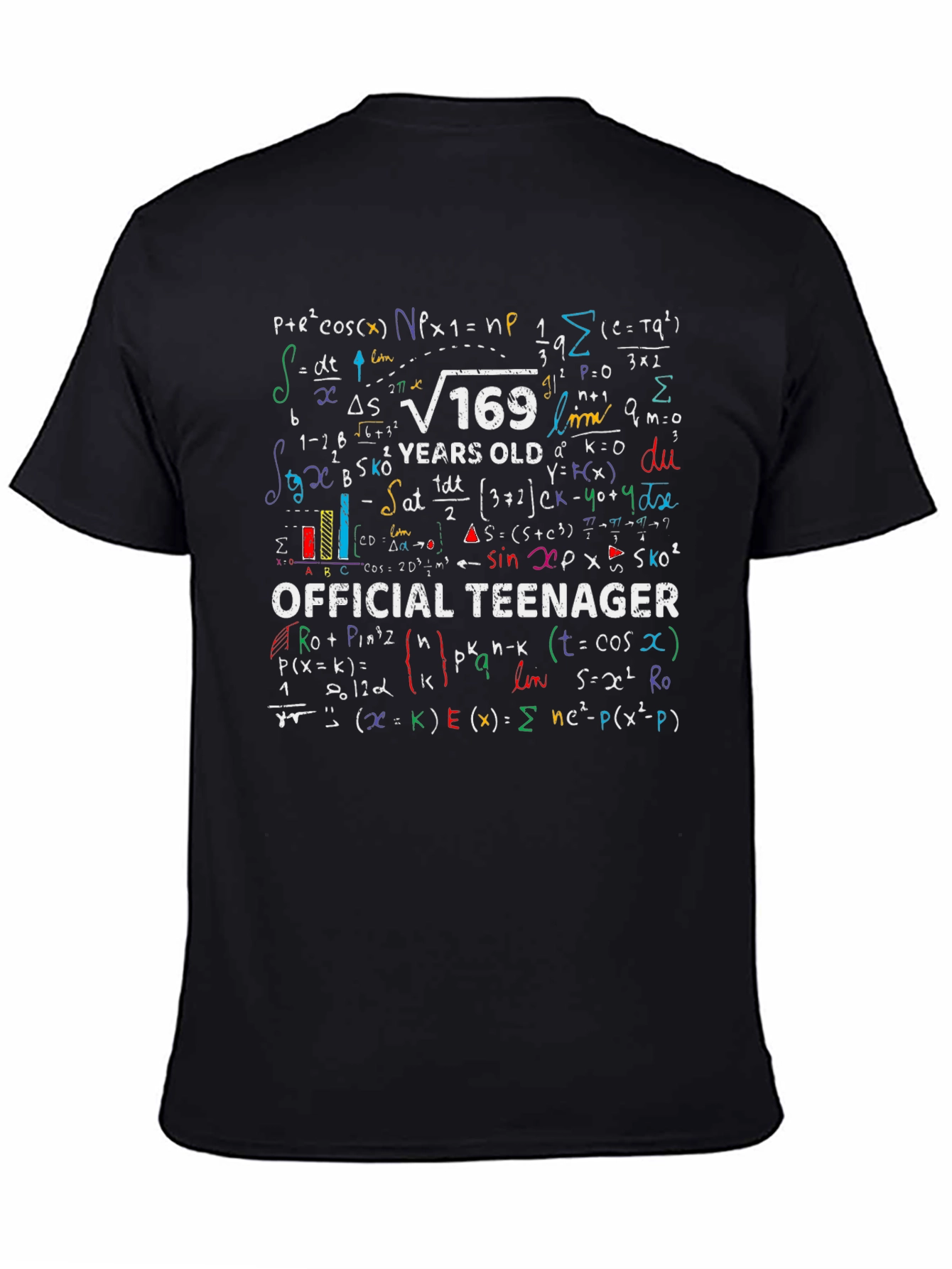 Math Formula 13th Birthday T-Shirt - Official Teenager