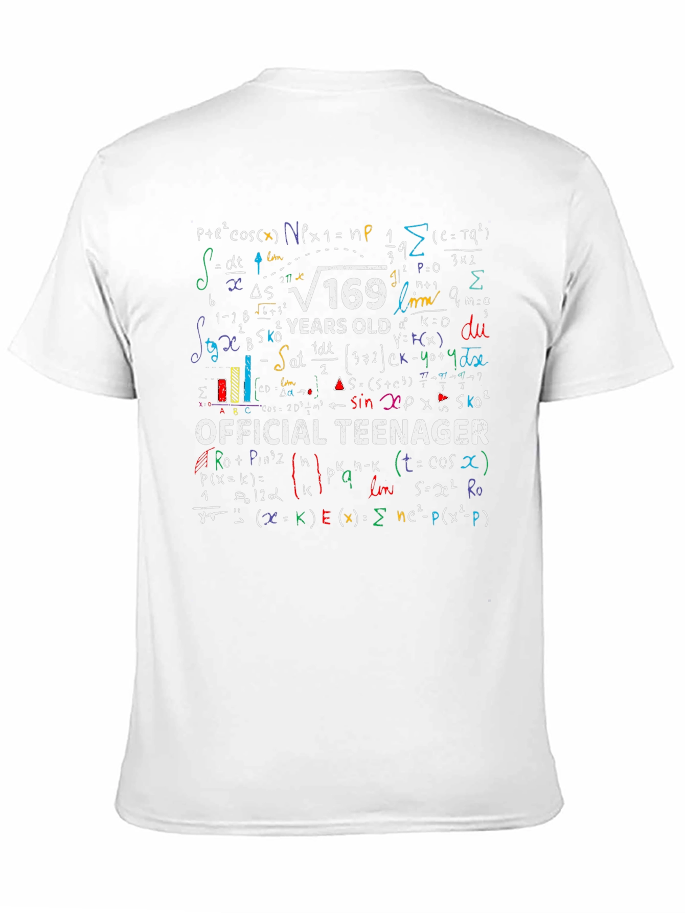Math Formula 13th Birthday T-Shirt - Official Teenager