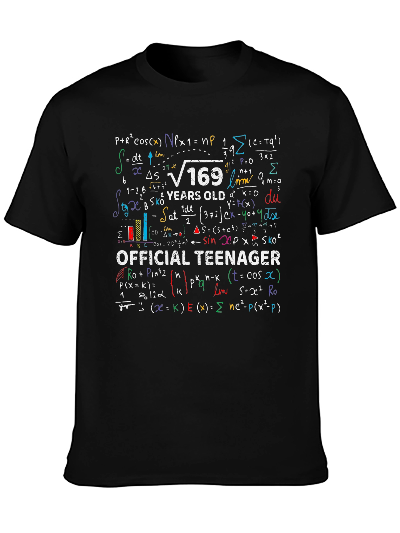 Math Formula 13th Birthday T-Shirt - Official Teenager