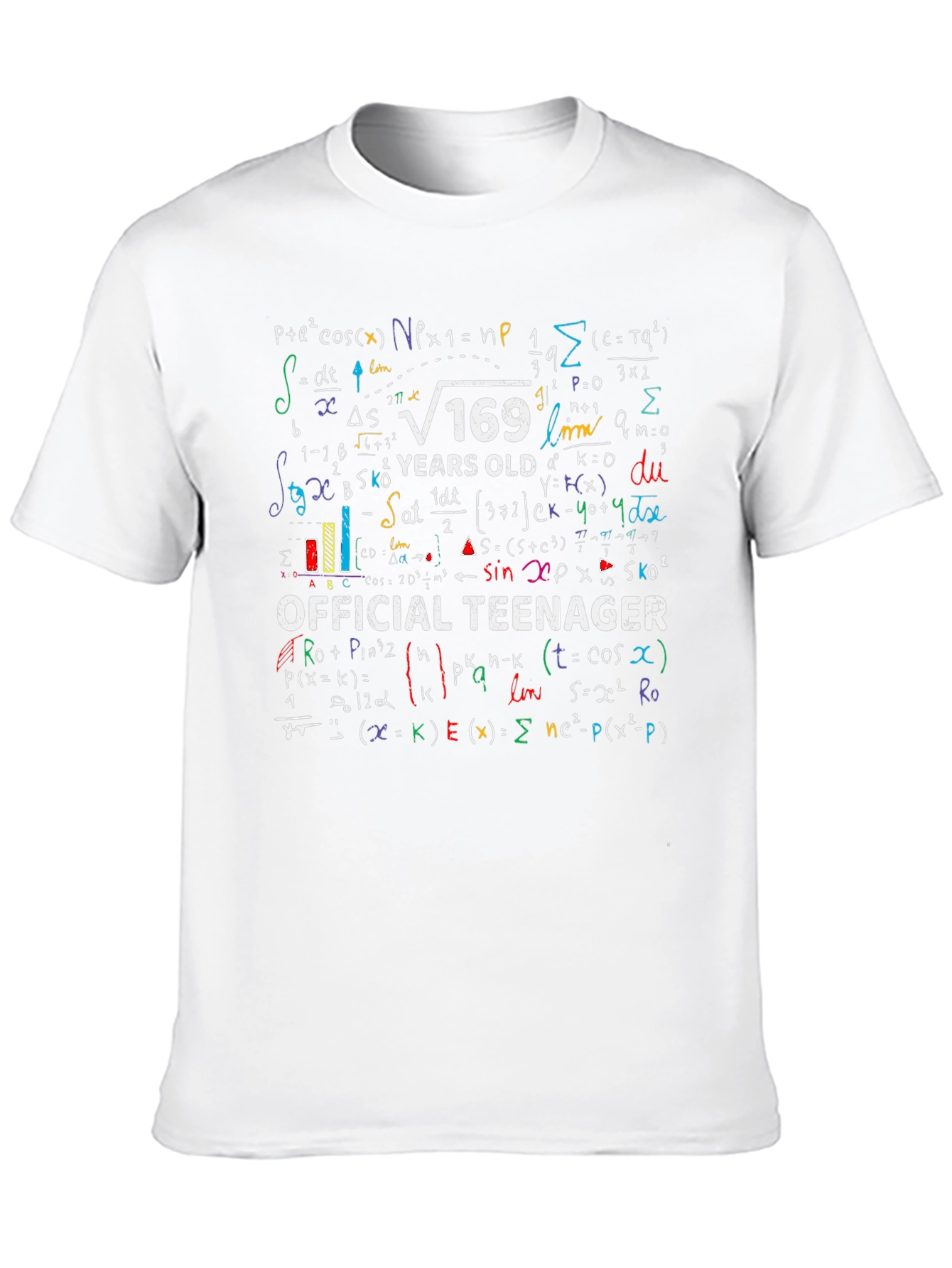 Math Formula 13th Birthday T-Shirt - Official Teenager