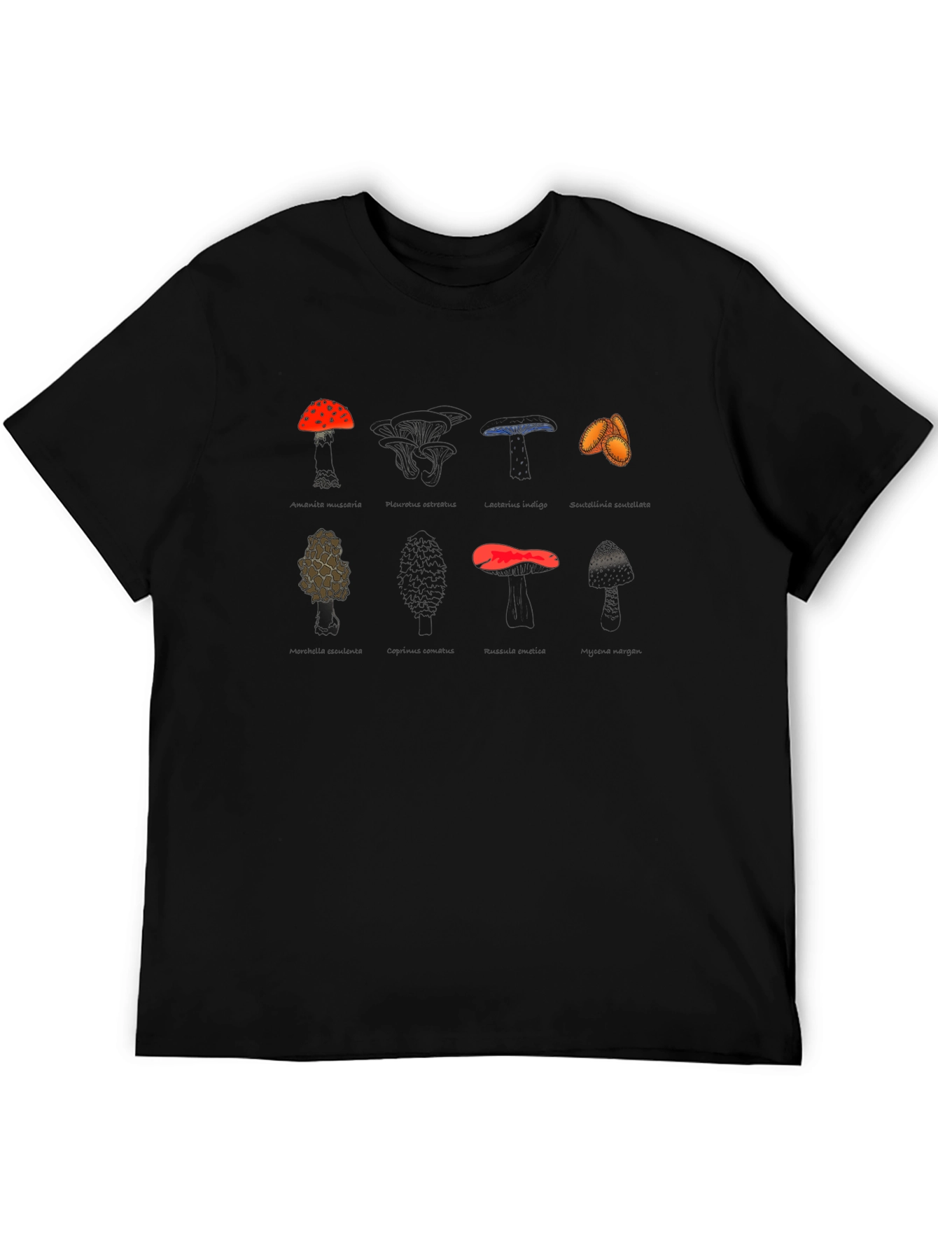 Mushroom Variety Graphic Print Tee - Black