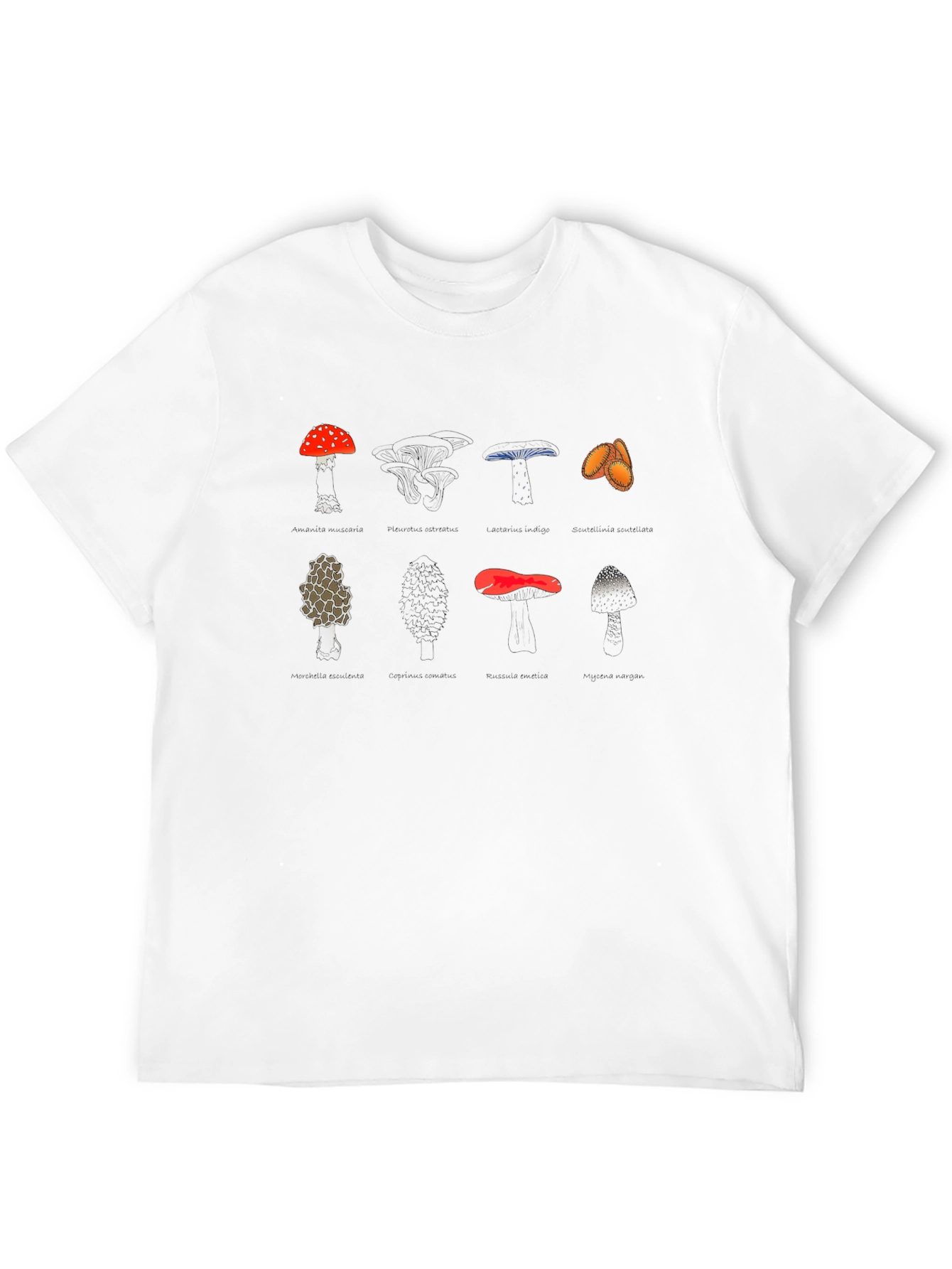 Mushroom Variety Graphic Print Tee - Black