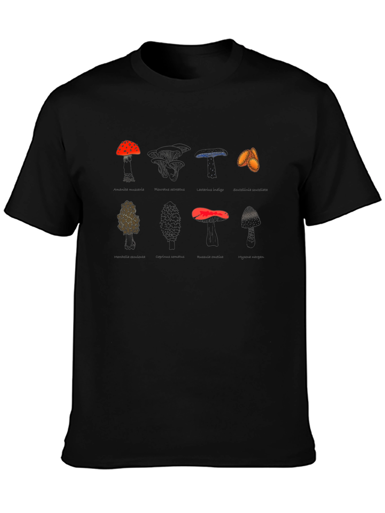 Mushroom Variety Graphic Print Tee - Black