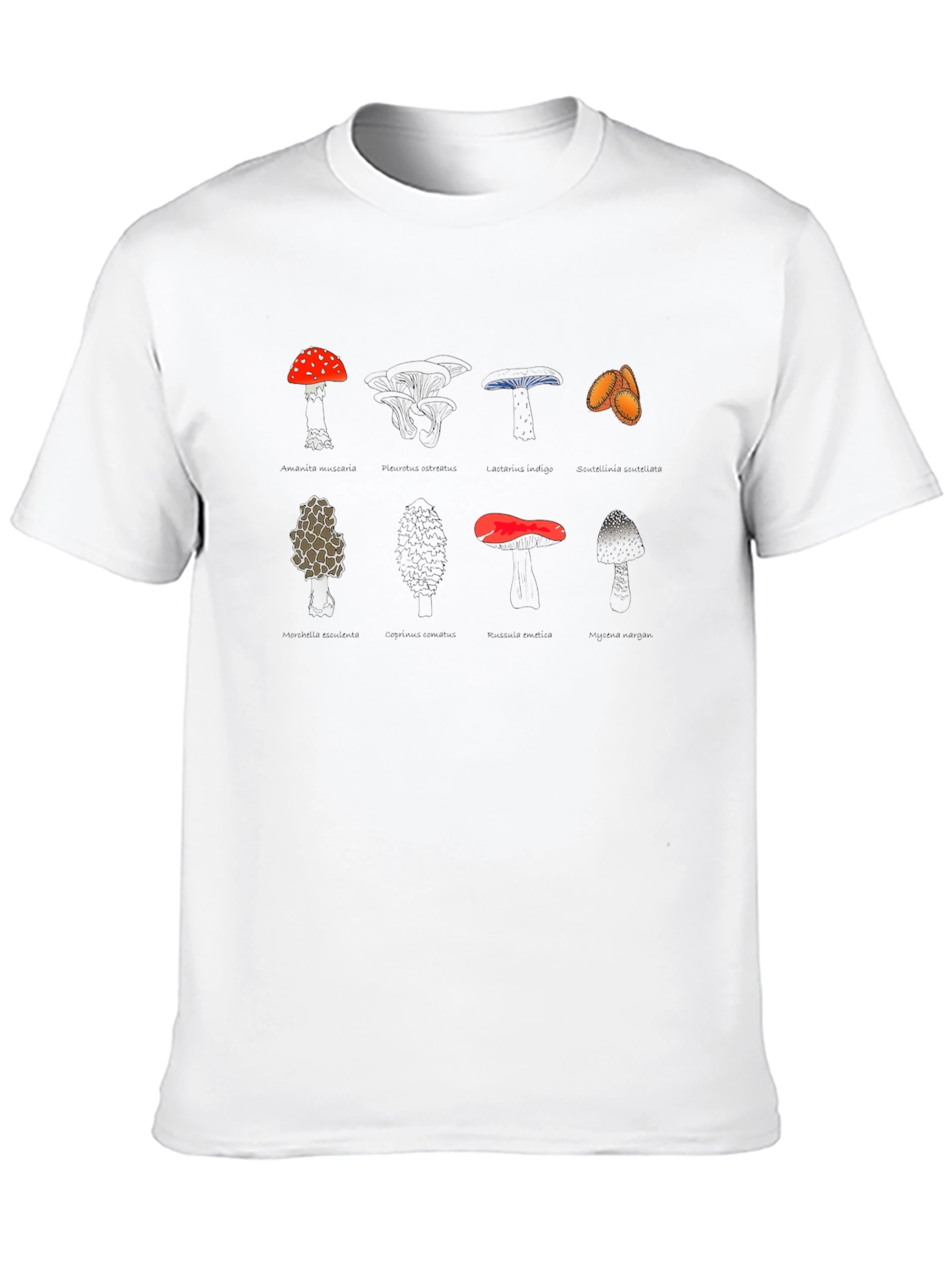 Mushroom Variety Graphic Print Tee - Black
