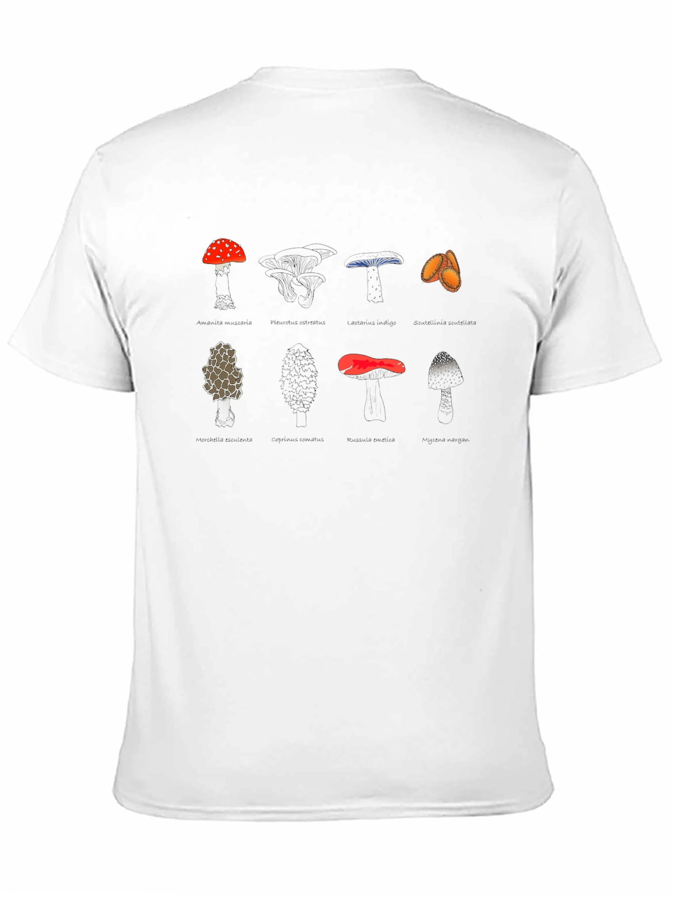 Mushroom Variety Graphic Print Tee - Black