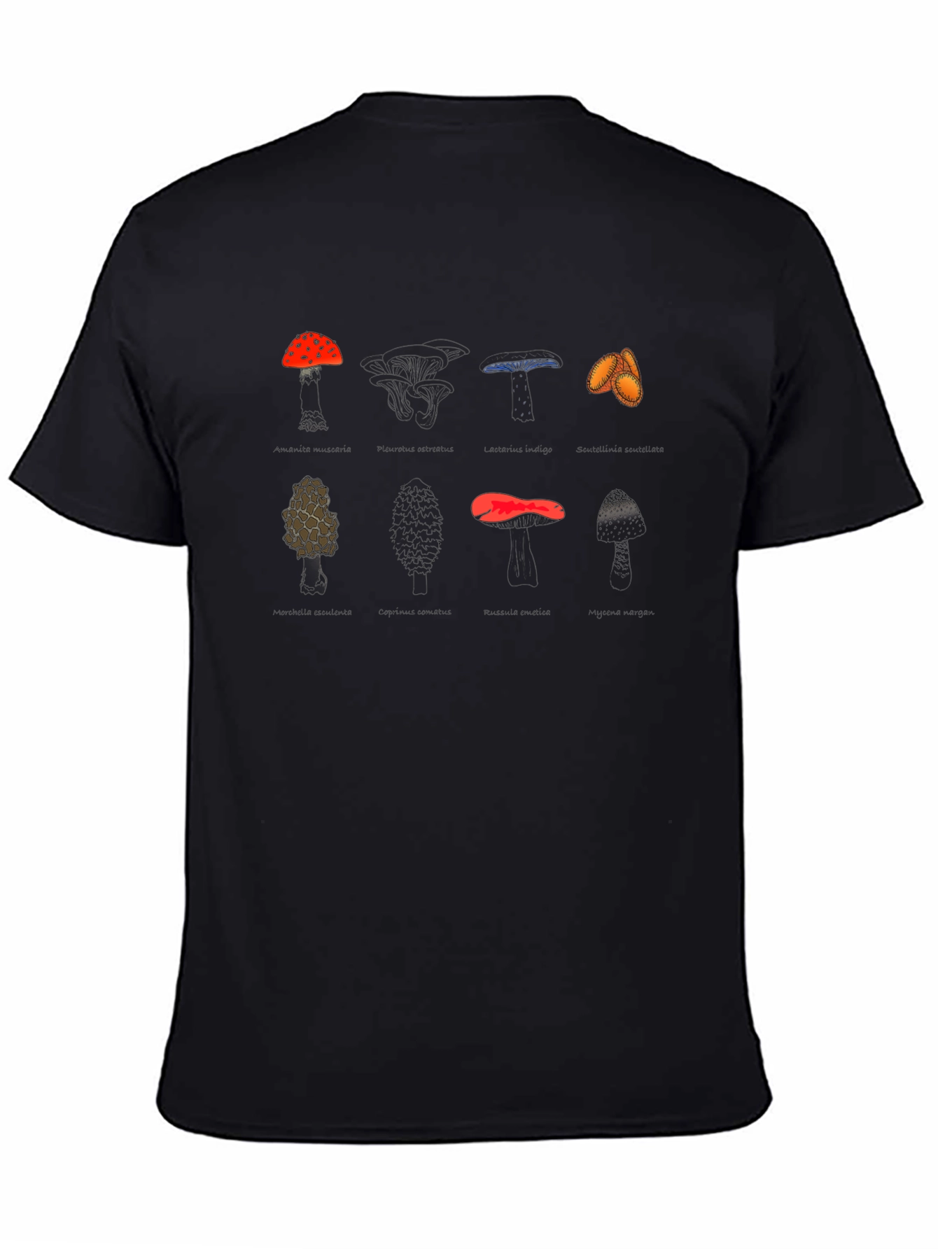 Mushroom Variety Graphic Print Tee - Black