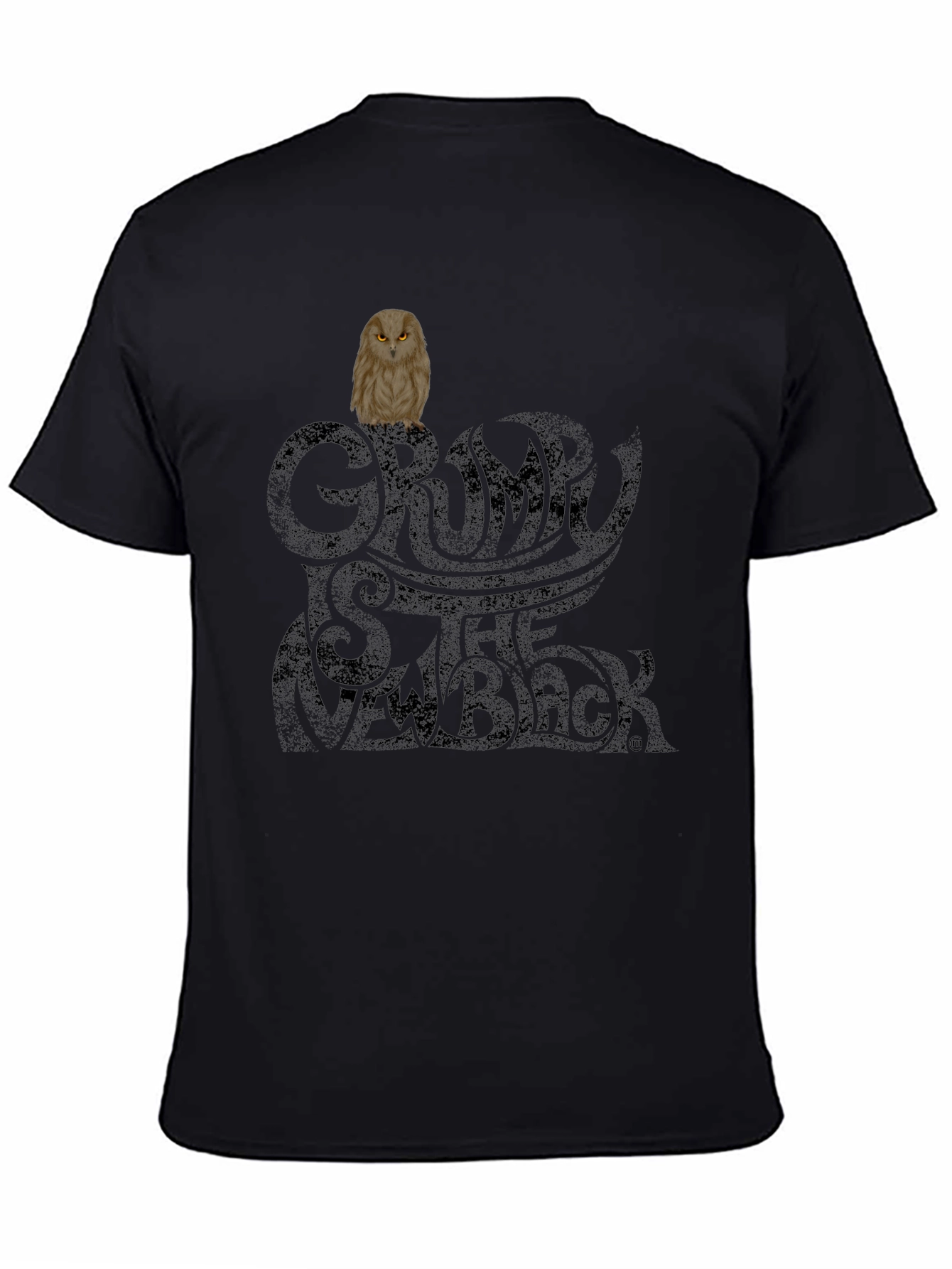 Grumpy Owl Black T-Shirt - Trendy & Unique