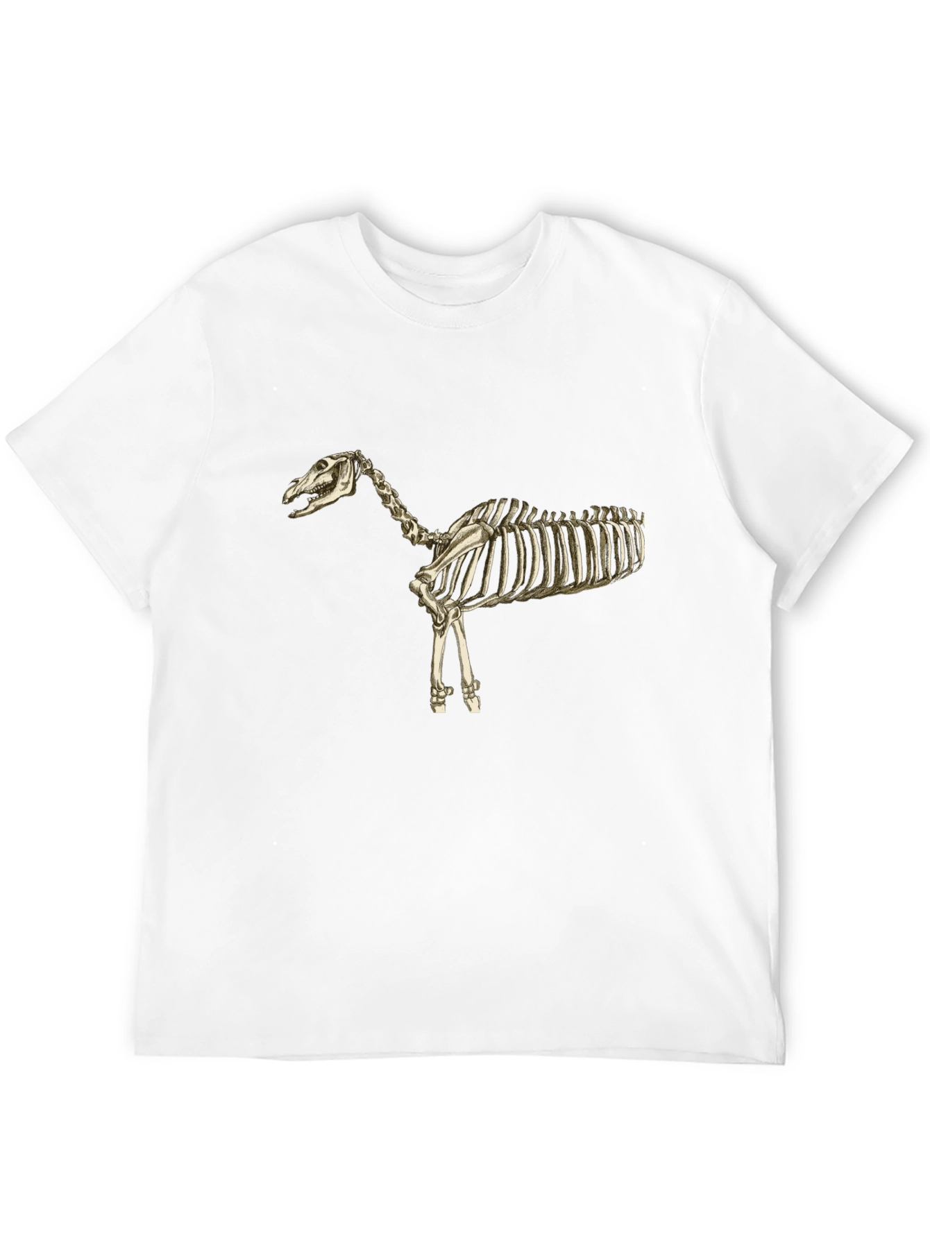 Horse Skeleton Black T-Shirt