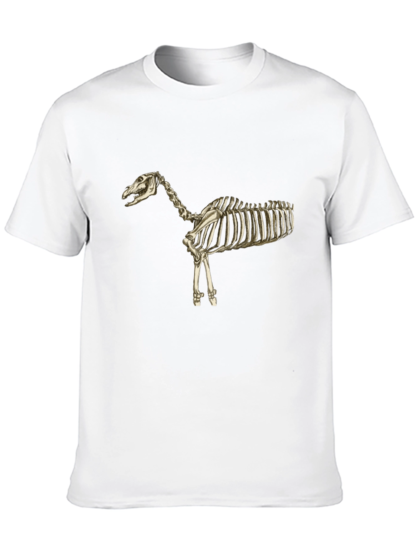 Horse Skeleton Black T-Shirt