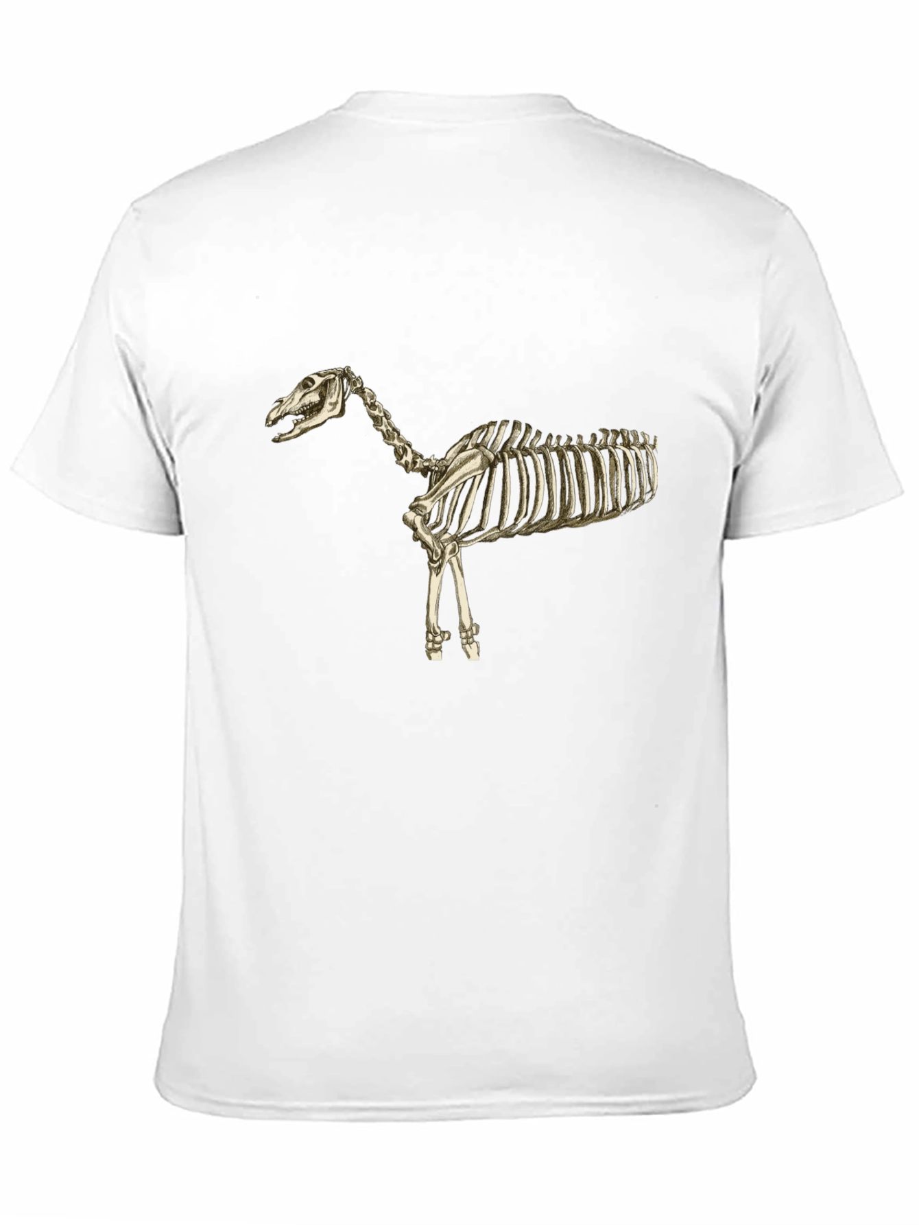 Horse Skeleton Black T-Shirt