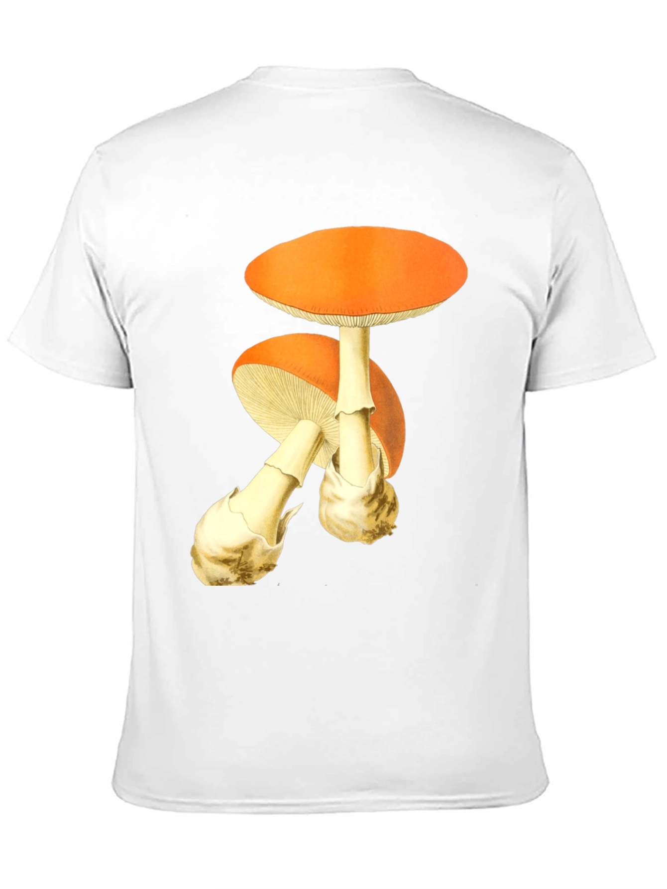 Mushroom Graphic Tee - Quirky Printed T-Shirt