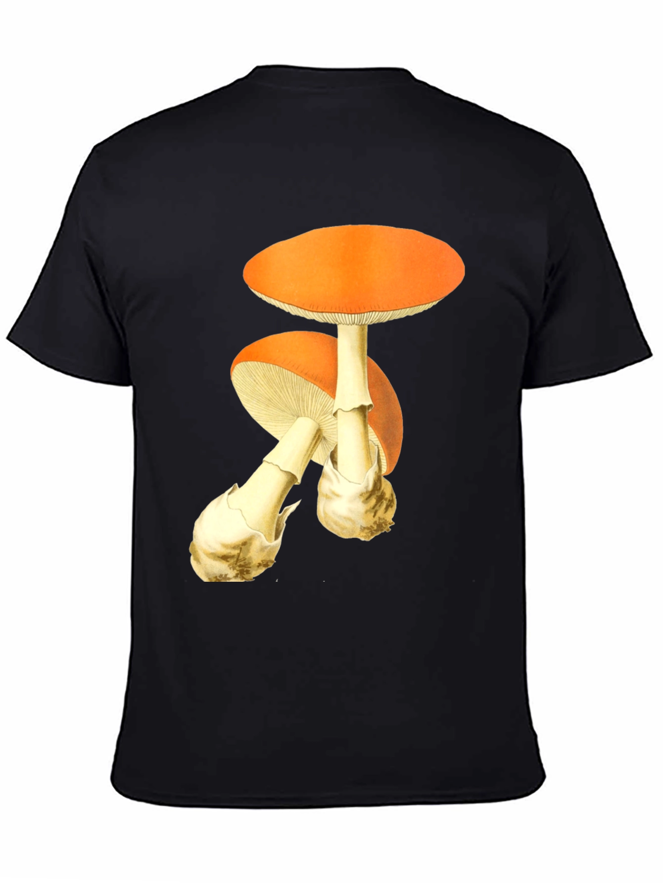 Mushroom Graphic Tee - Quirky Printed T-Shirt