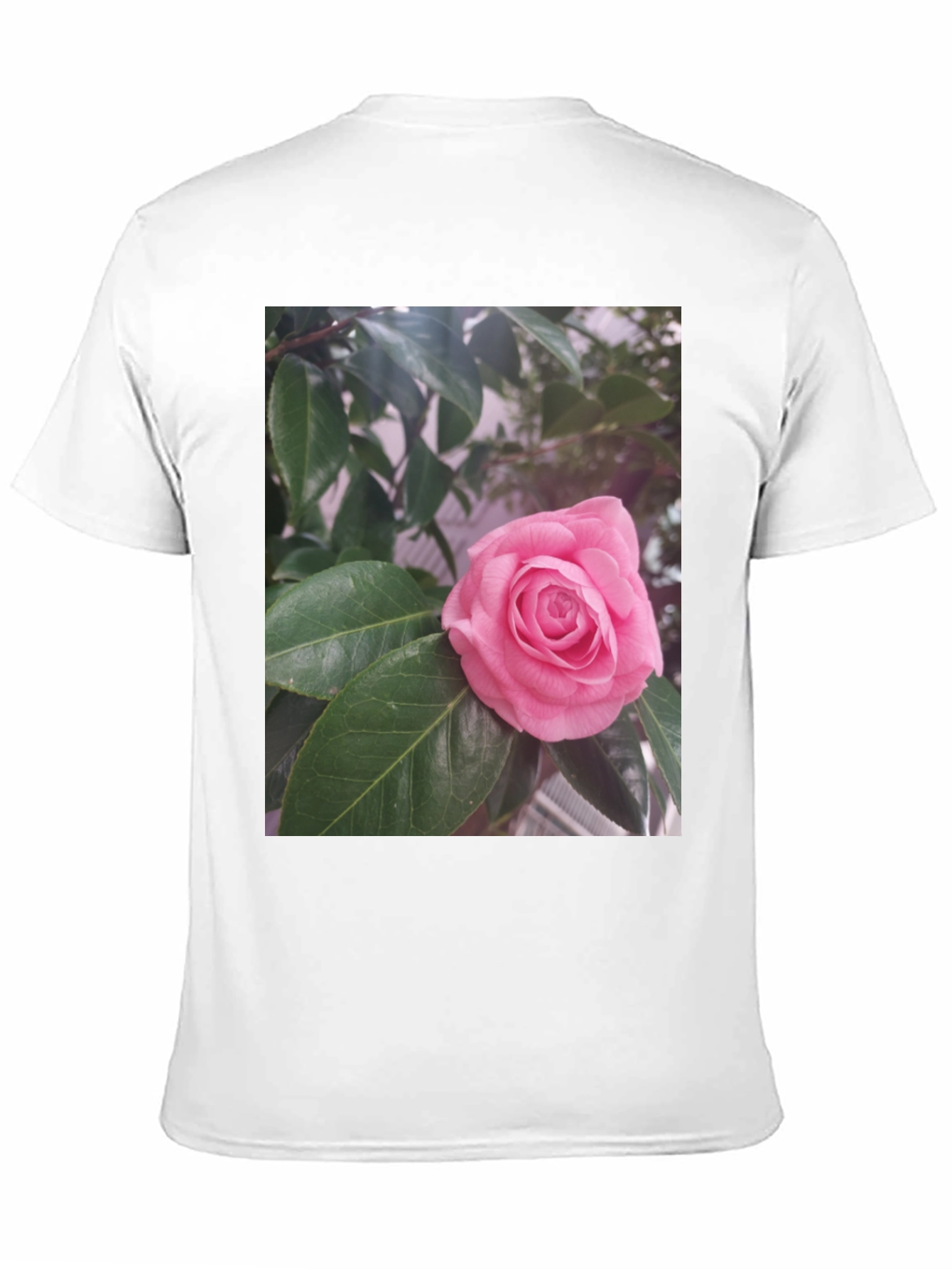 Floral Graphic Tee - Pink Rose Blossom Print