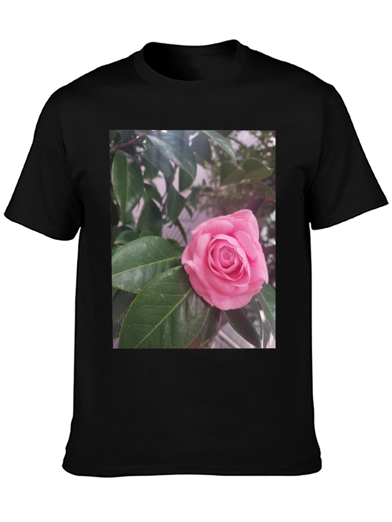 Floral Graphic Tee - Pink Rose Blossom Print
