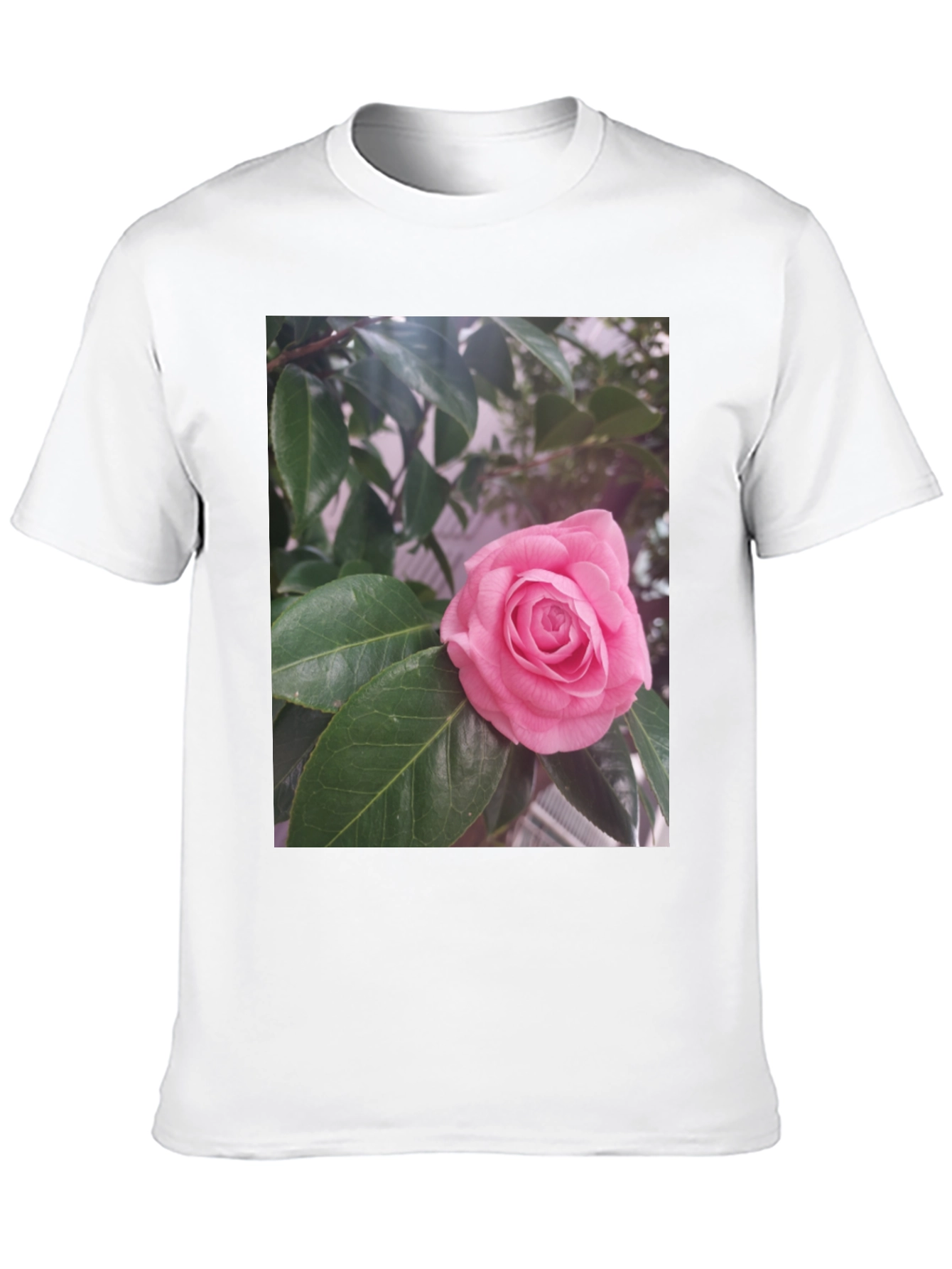 Floral Graphic Tee - Pink Rose Blossom Print