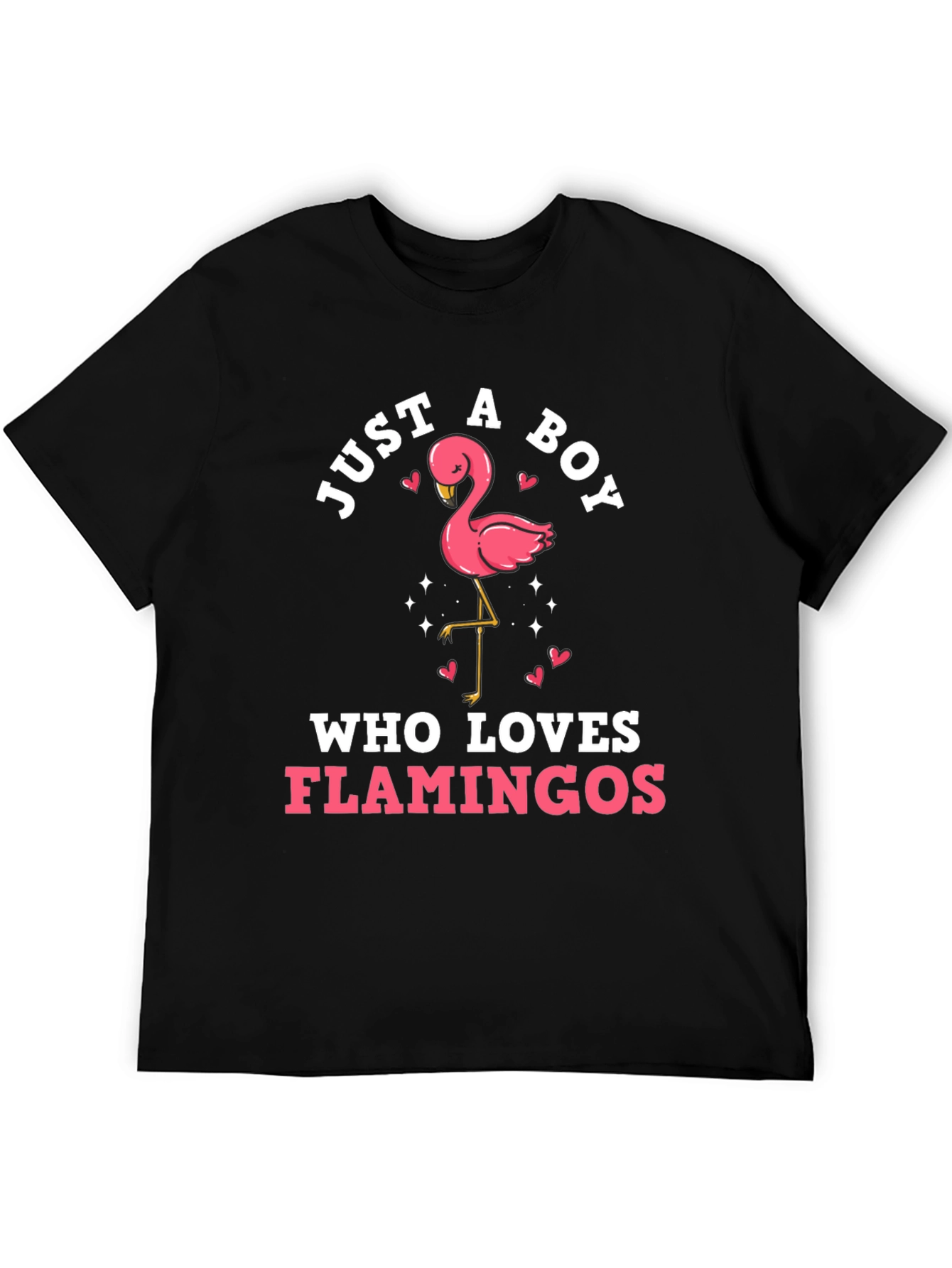Boys Flamingo Lover Graphic Tee