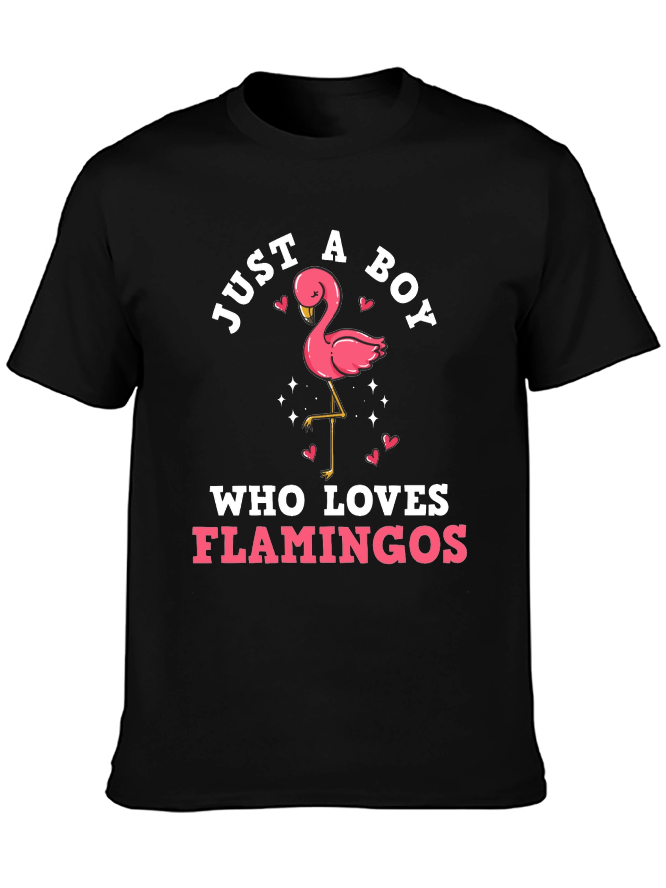 Boys Flamingo Lover Graphic Tee