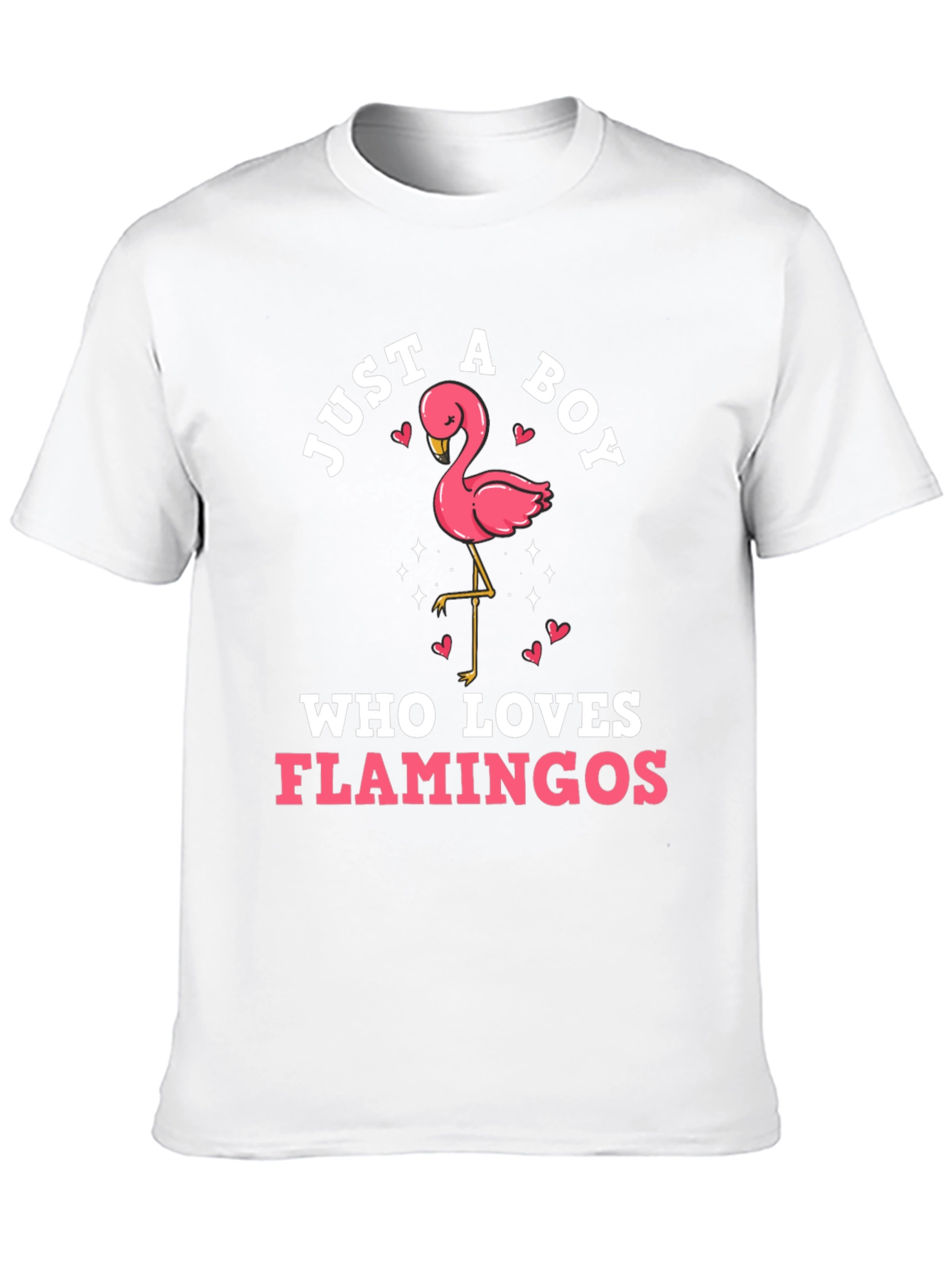 Boys Flamingo Lover Graphic Tee