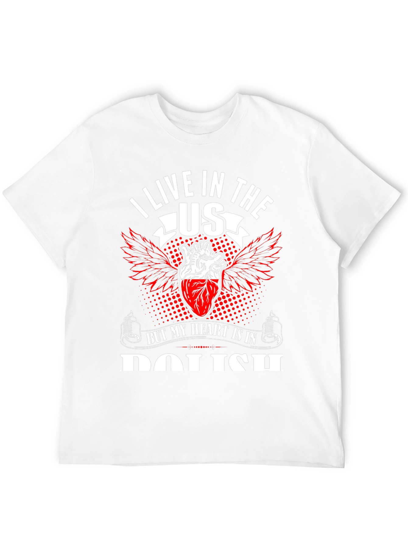 I Live in The US T-Shirt