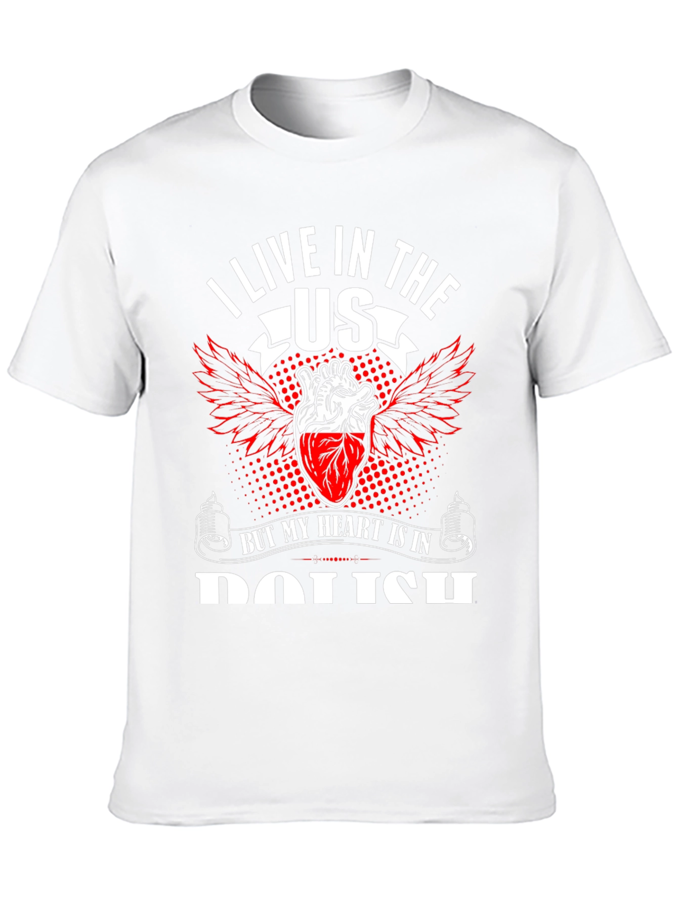 I Live in The US T-Shirt