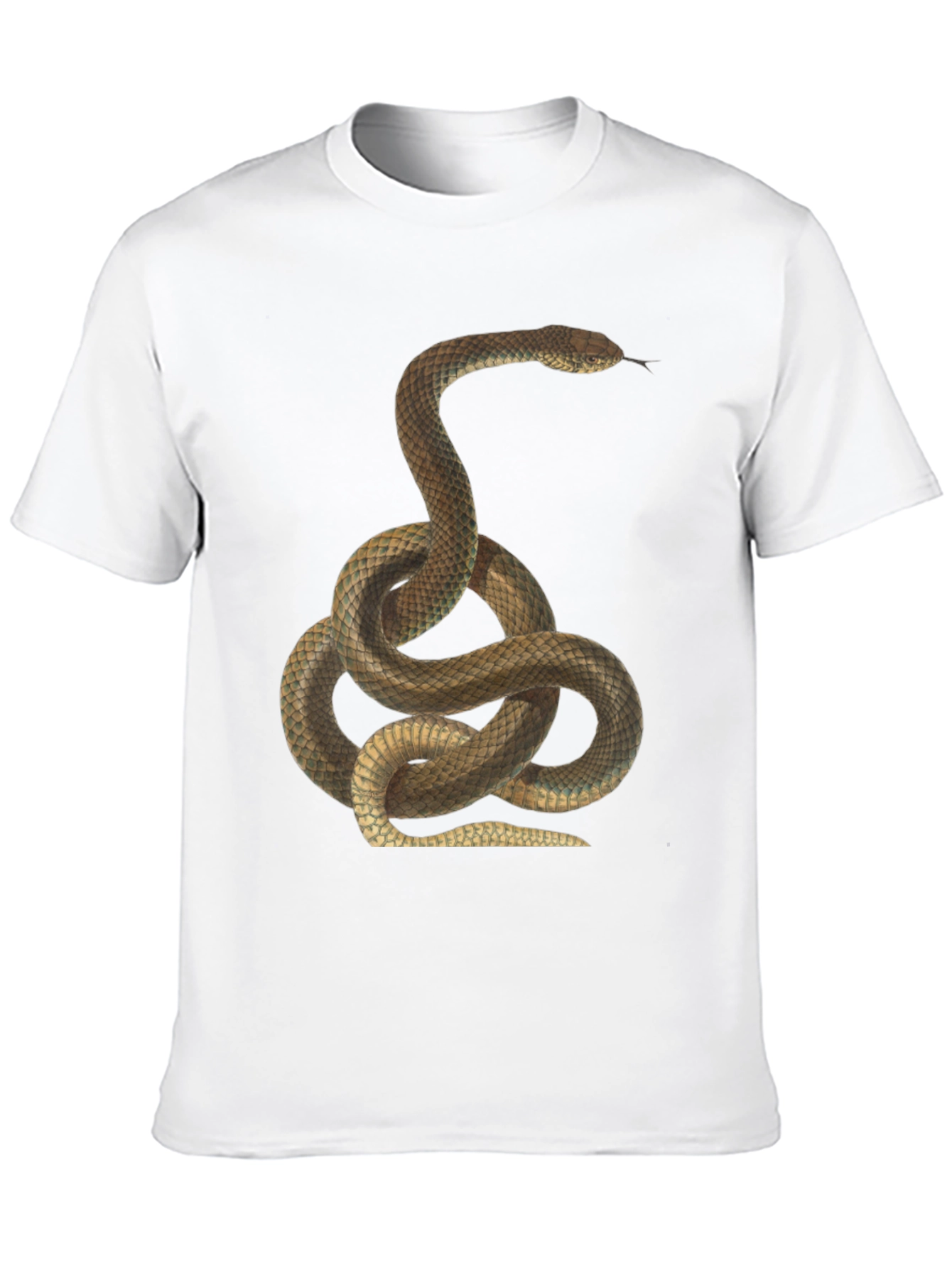 Snake Print Black T-Shirt for Men
