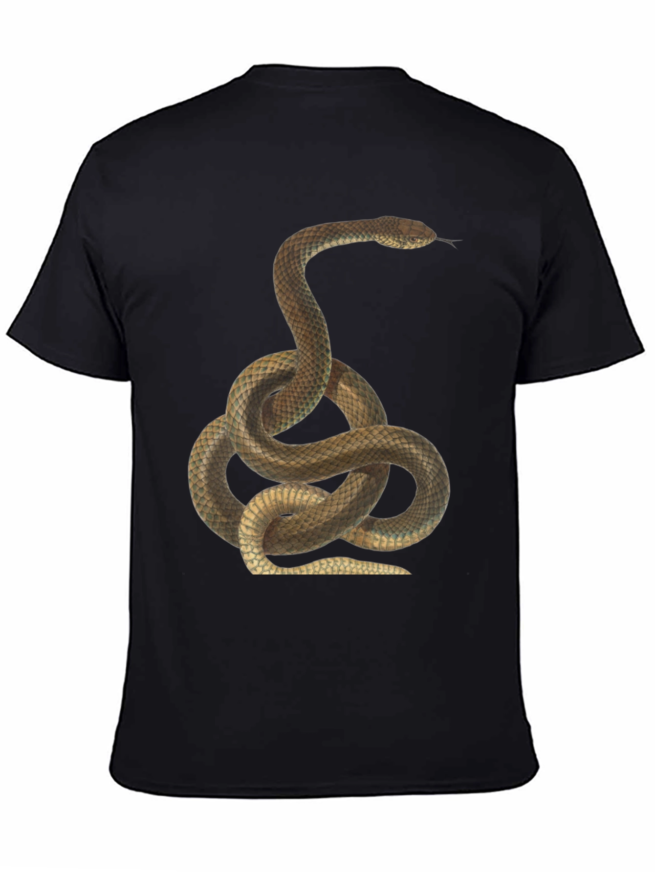 Snake Print Black T-Shirt for Men