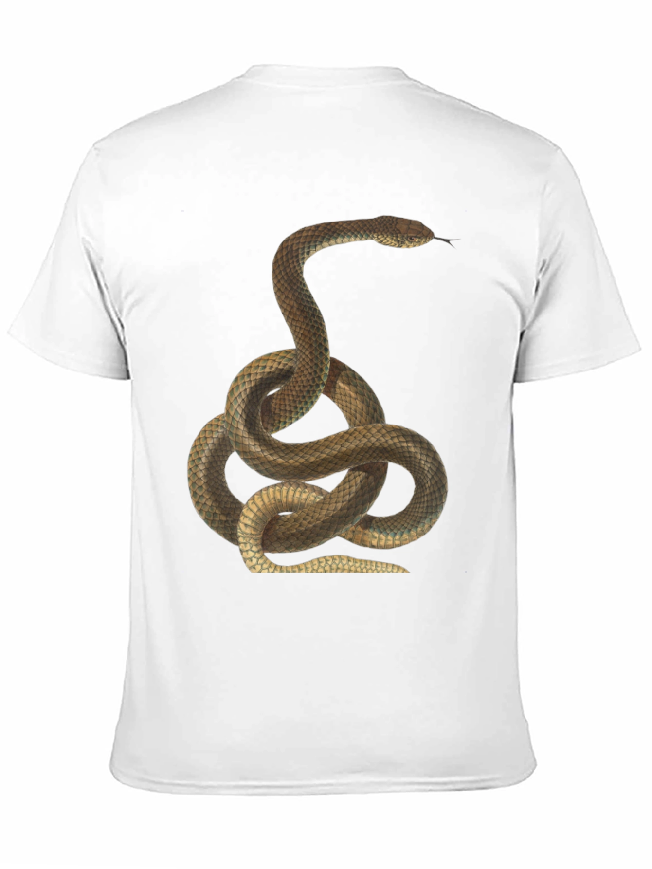 Snake Print Black T-Shirt for Men