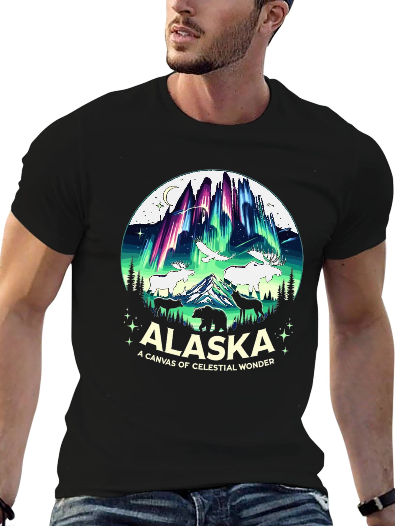 Alaska Celestial Wonder Graphic T-Shirt