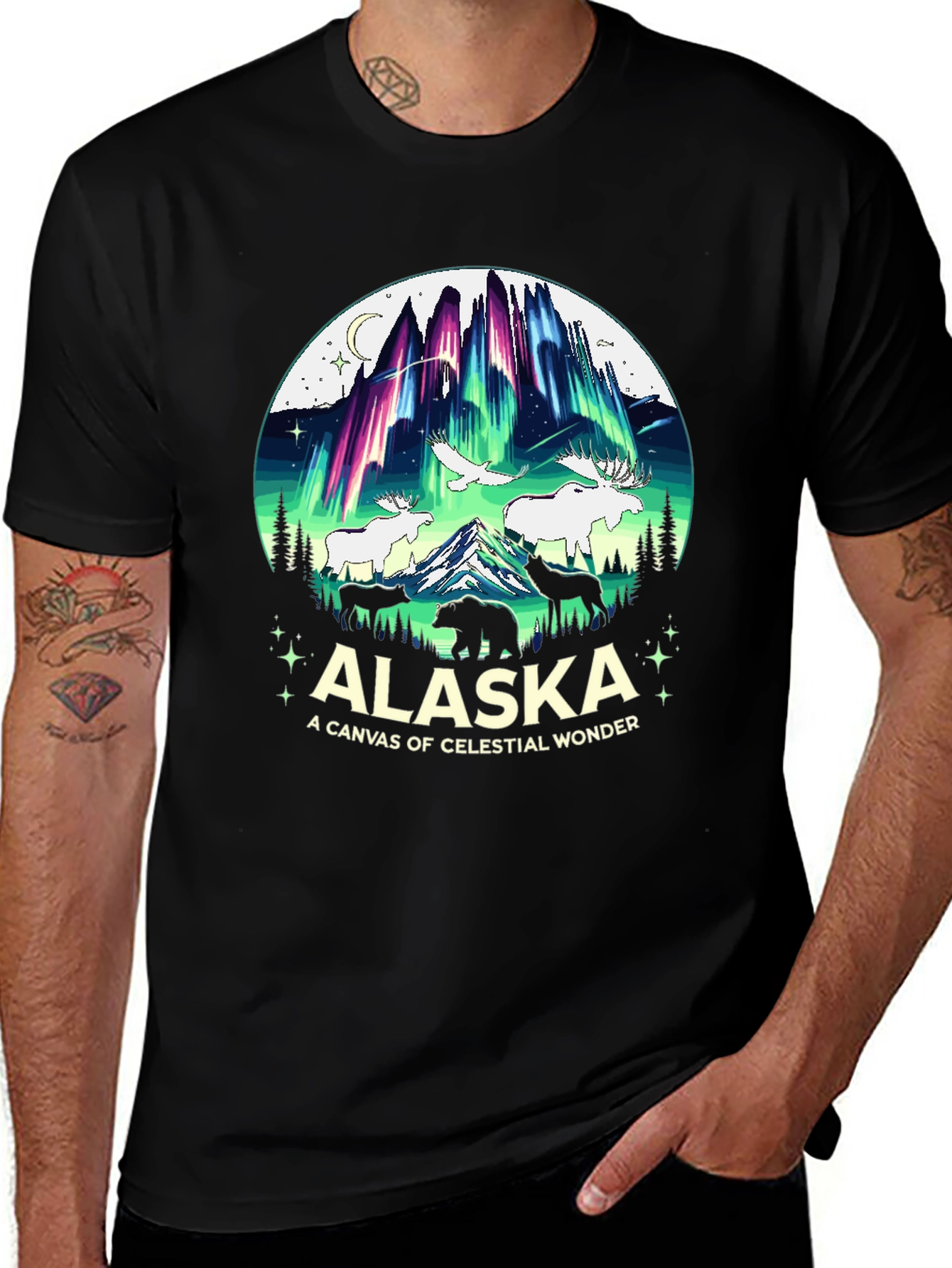 Alaska Celestial Wonder Graphic T-Shirt