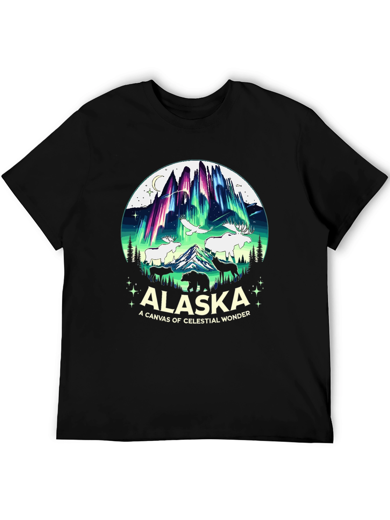 Alaska Celestial Wonder Graphic T-Shirt