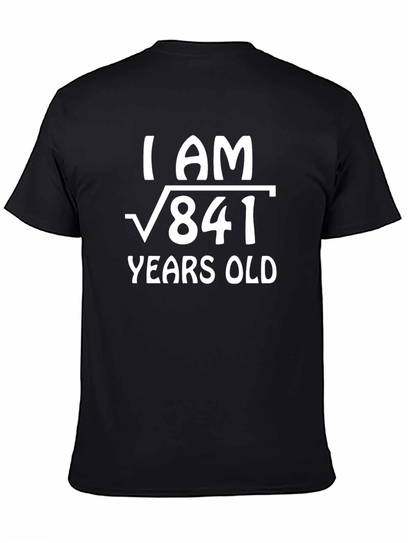 Funny 29th Birthday Math Equation T-Shirt