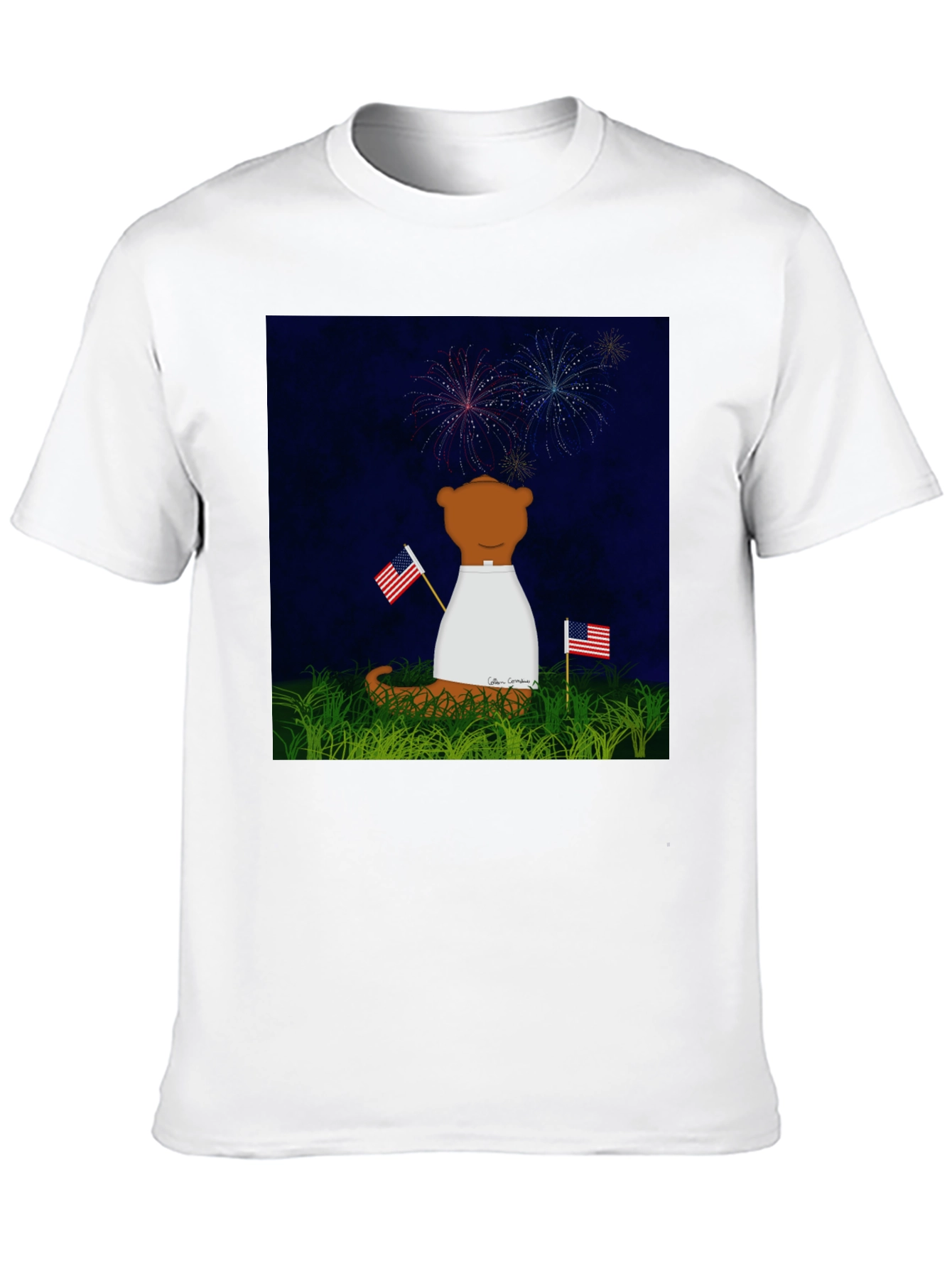Patriotic Bear T-Shirt - Fireworks & Flags