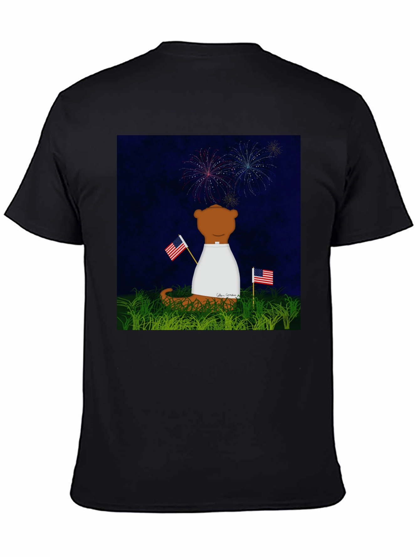 Patriotic Bear T-Shirt - Fireworks & Flags