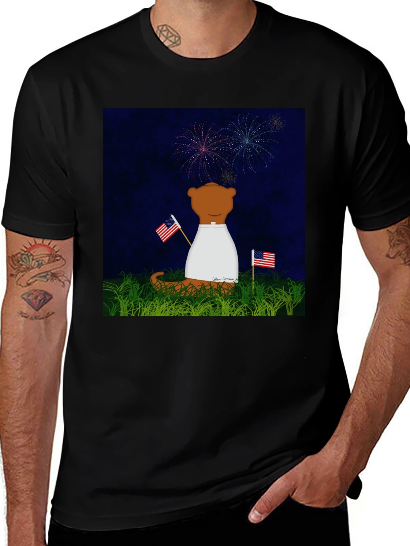 Patriotic Bear T-Shirt - Fireworks & Flags