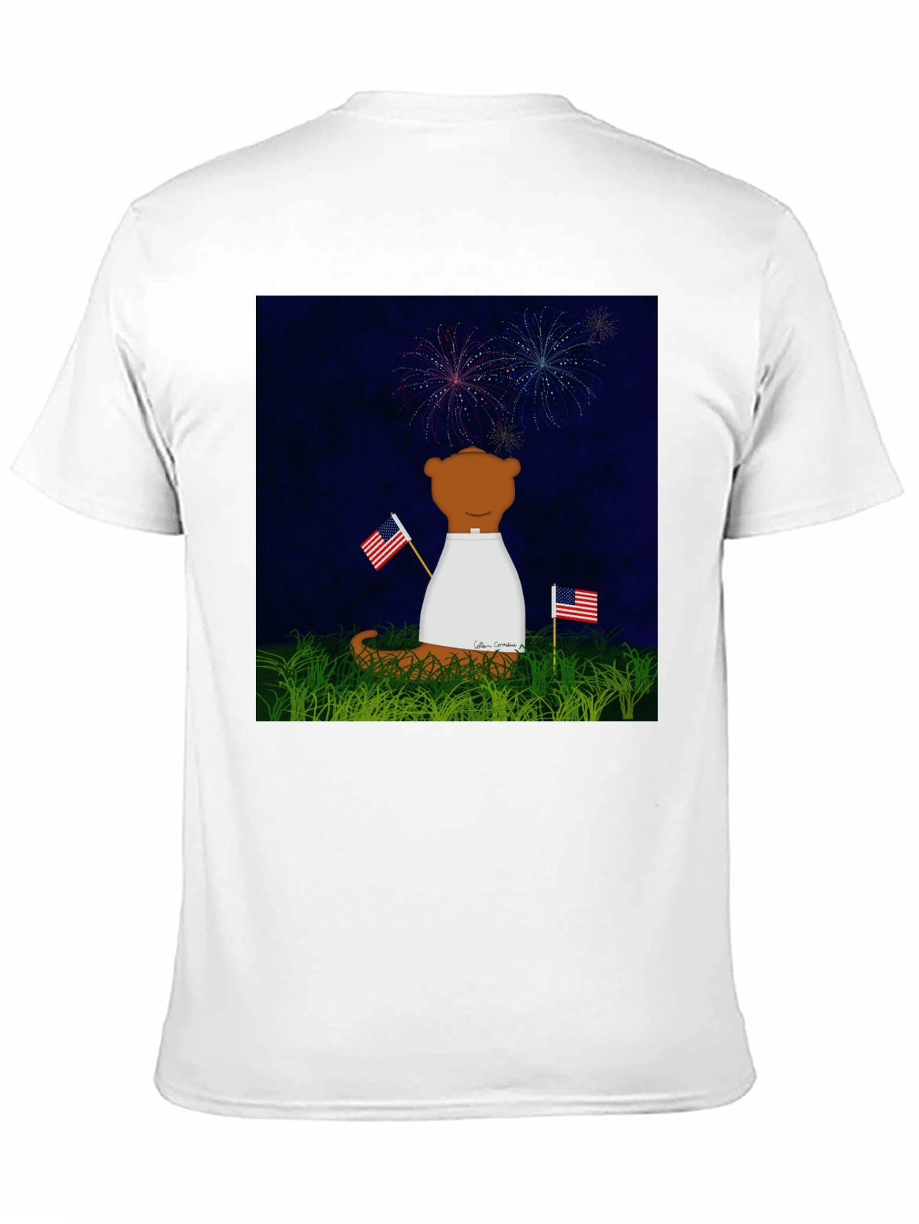 Patriotic Bear T-Shirt - Fireworks & Flags