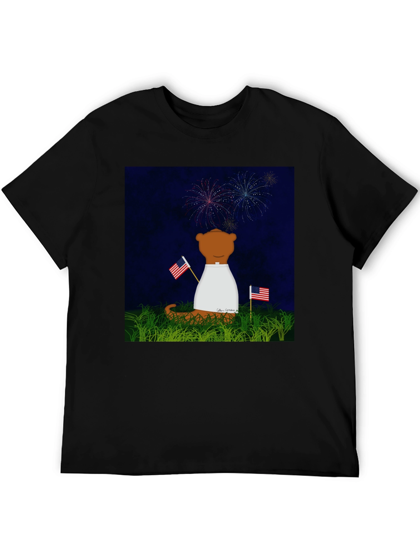 Patriotic Bear T-Shirt - Fireworks & Flags