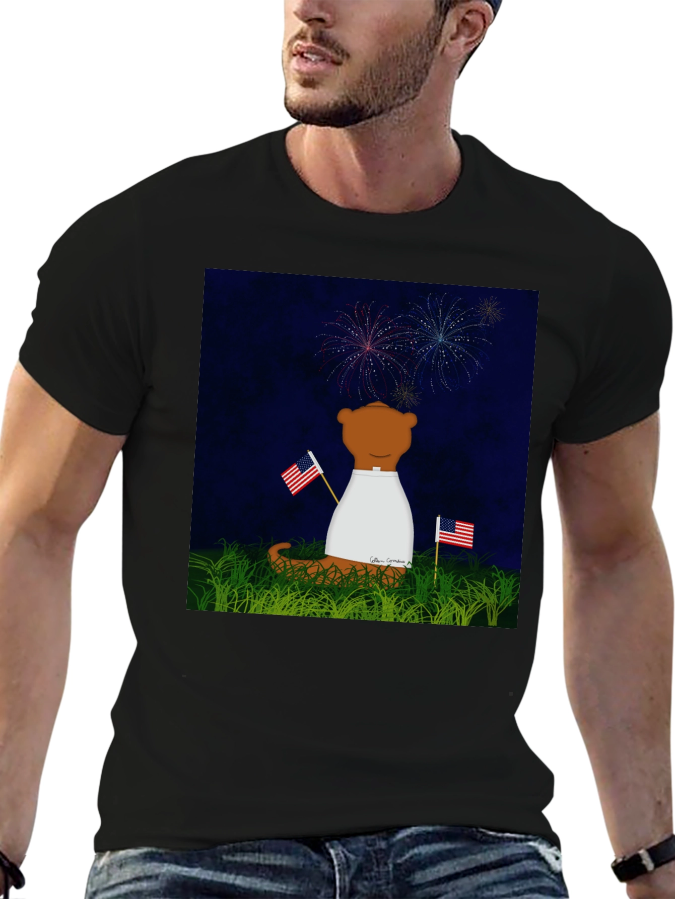 Patriotic Bear T-Shirt - Fireworks & Flags