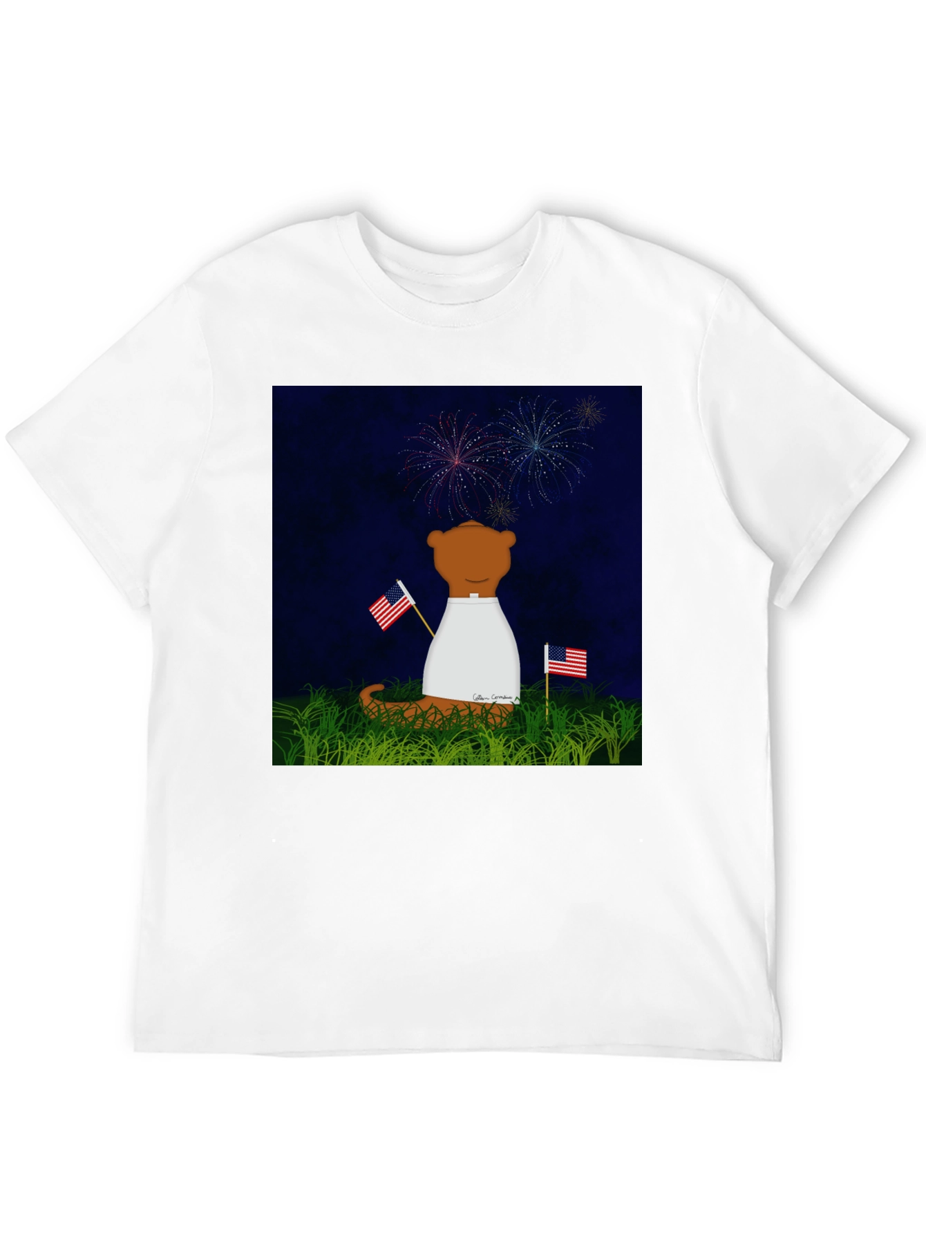 Patriotic Bear T-Shirt - Fireworks & Flags