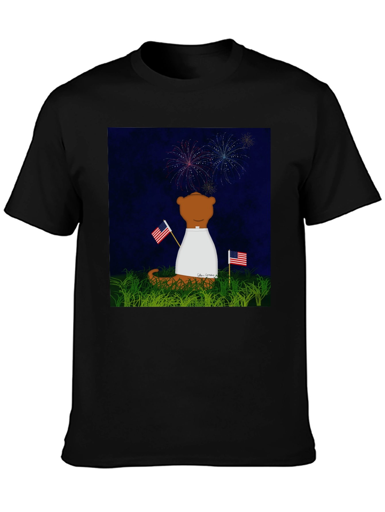 Patriotic Bear T-Shirt - Fireworks & Flags