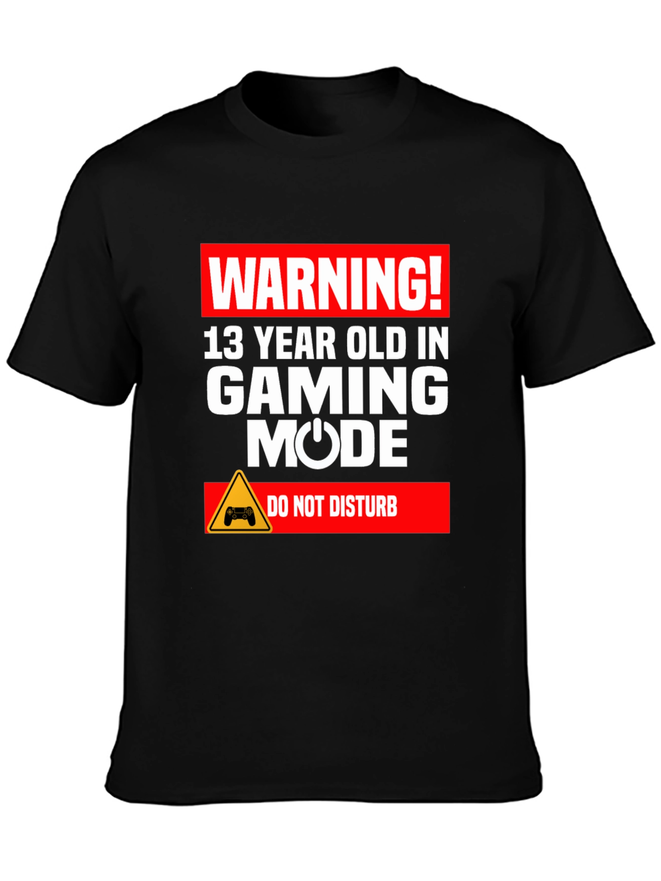 Warning 13 Year Old In Gaming Mode T-Shirt
